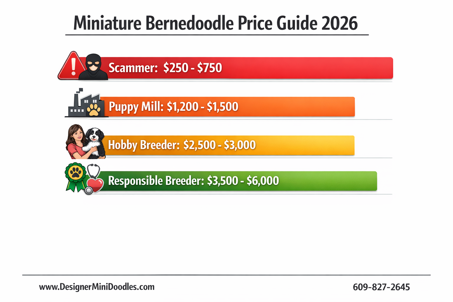 Detailed () infographic-style image showing a price comparison bar chart for bernedoodle puppies. Four horizontal bars