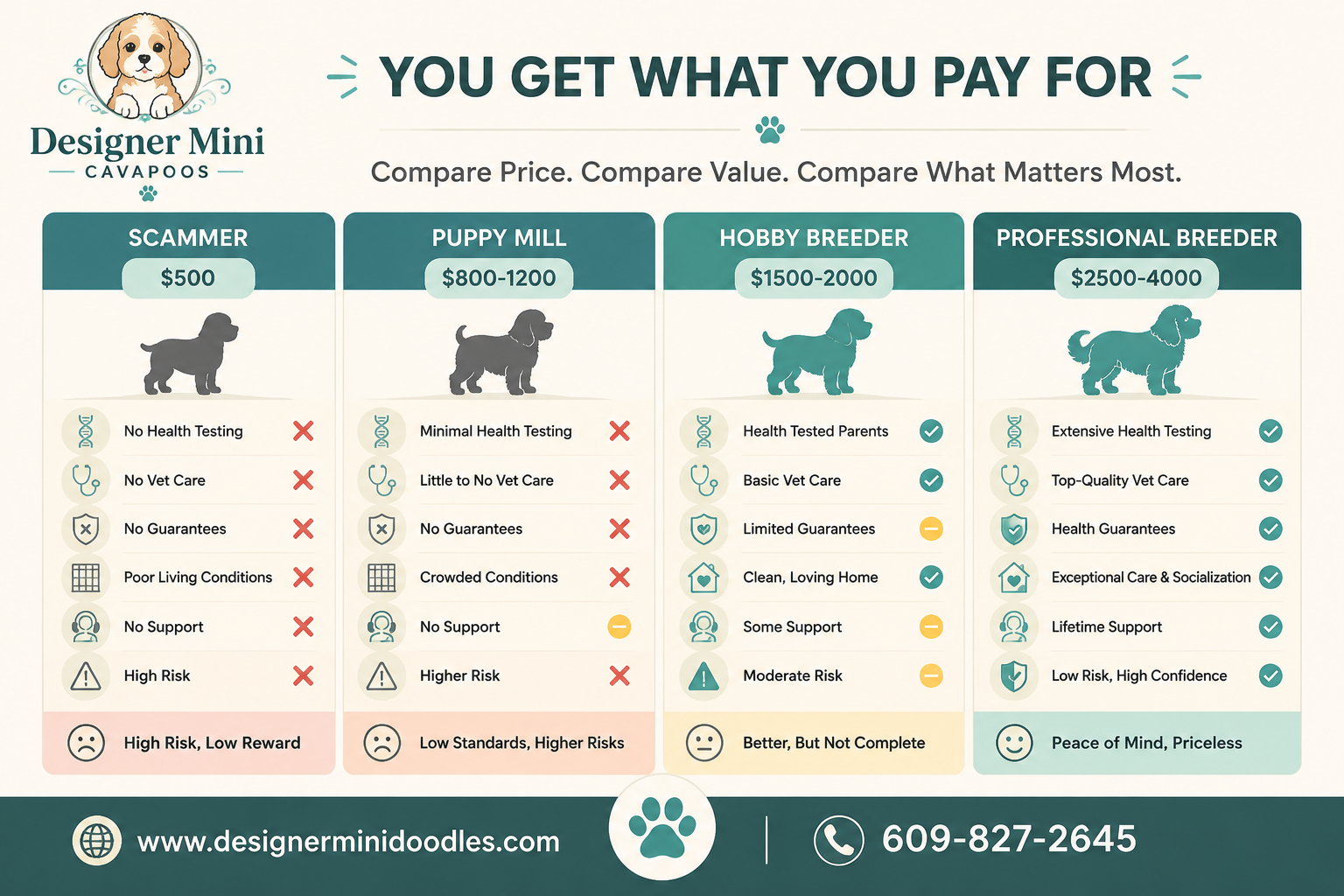Cavapoo Price by Coat Color and Size