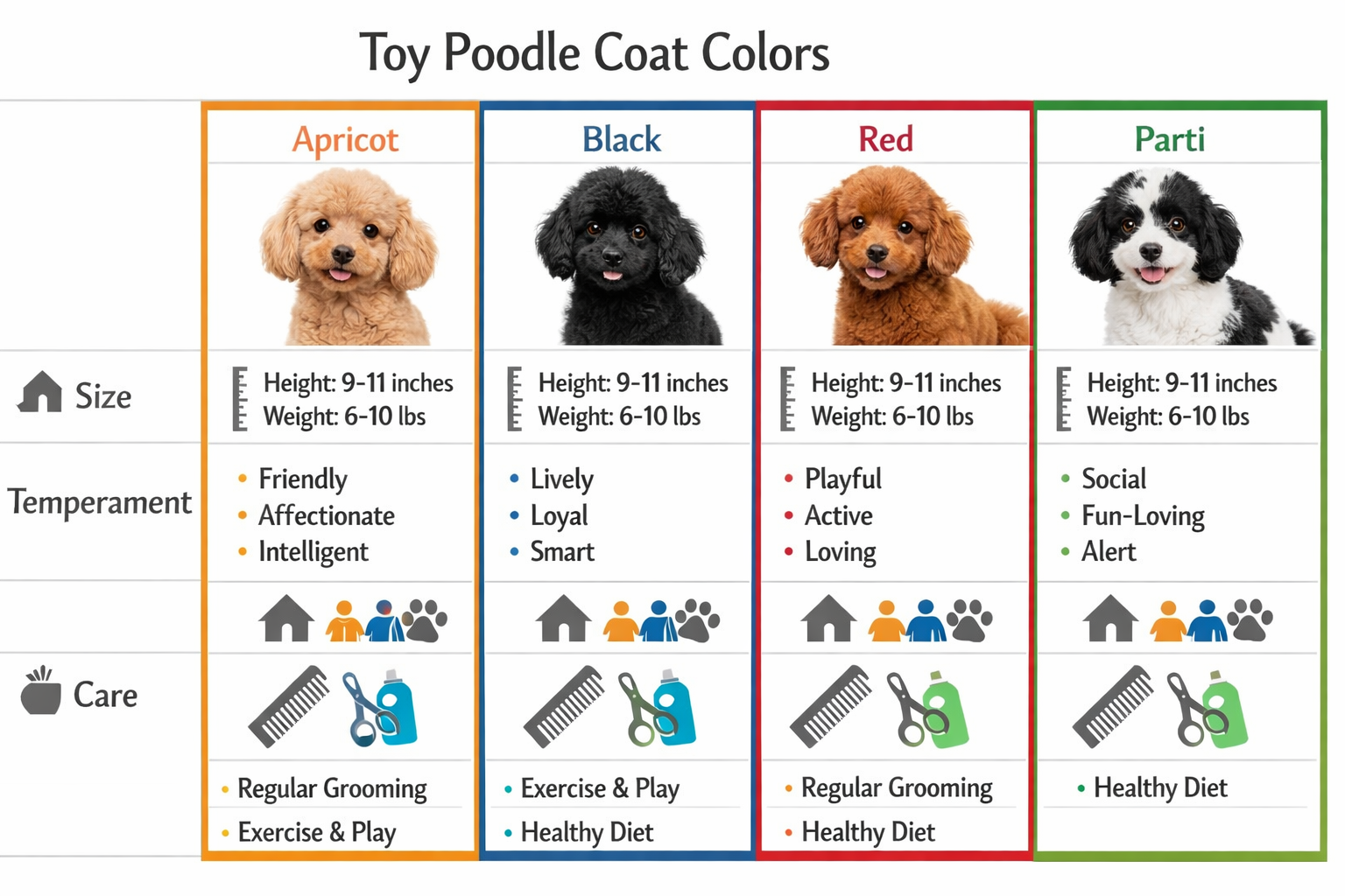Comparison chart layout showing different toy poodle coat colors (apricot, black, red, parti) with size specifications, temperament traits,