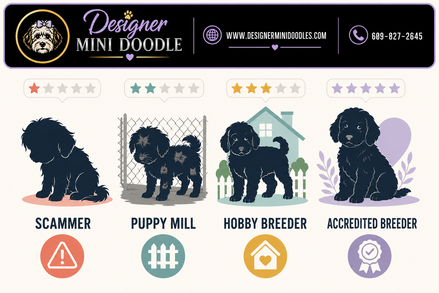micro golden doodle for sale Nashville Tennessee