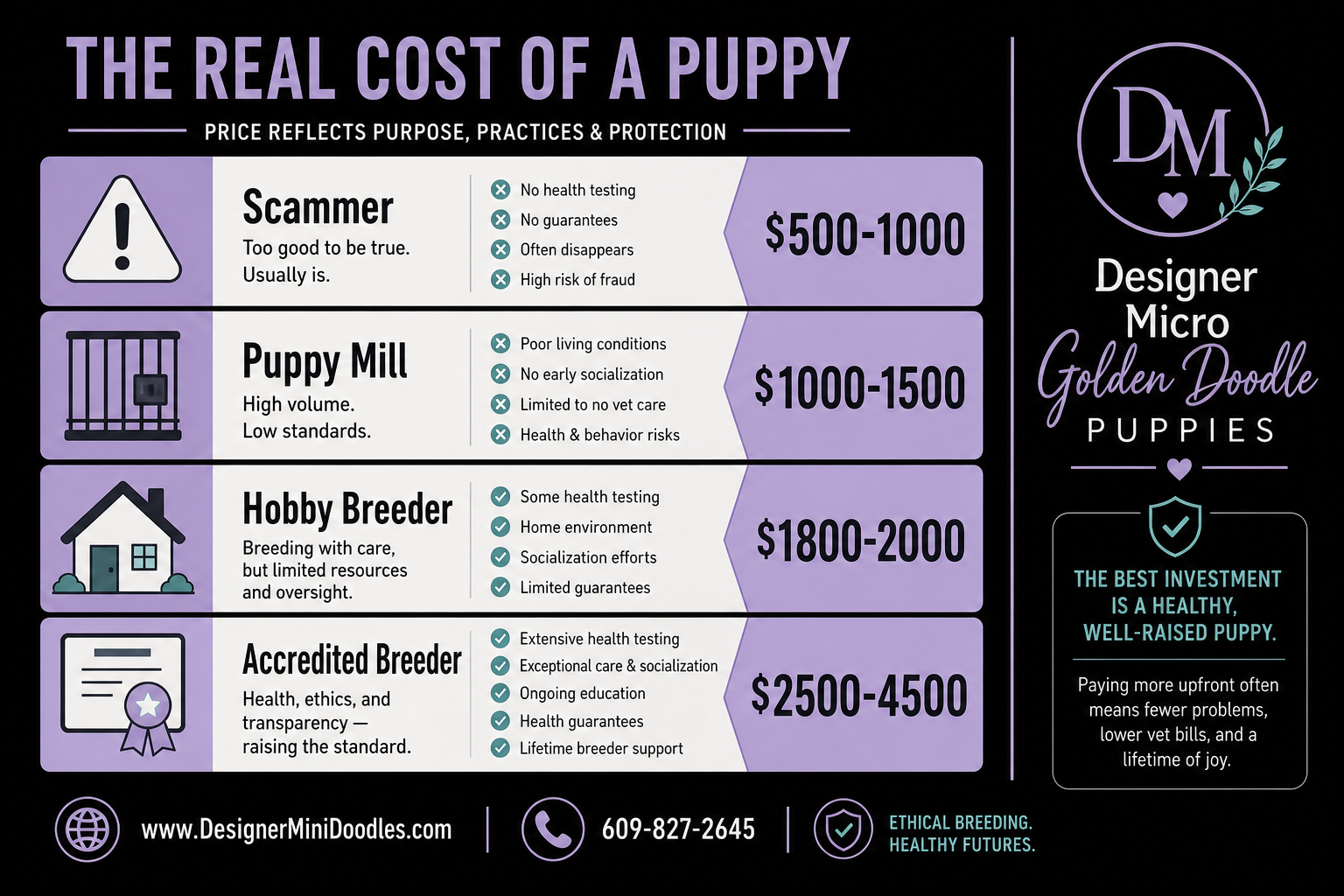 Micro Goldendoodle Cost
