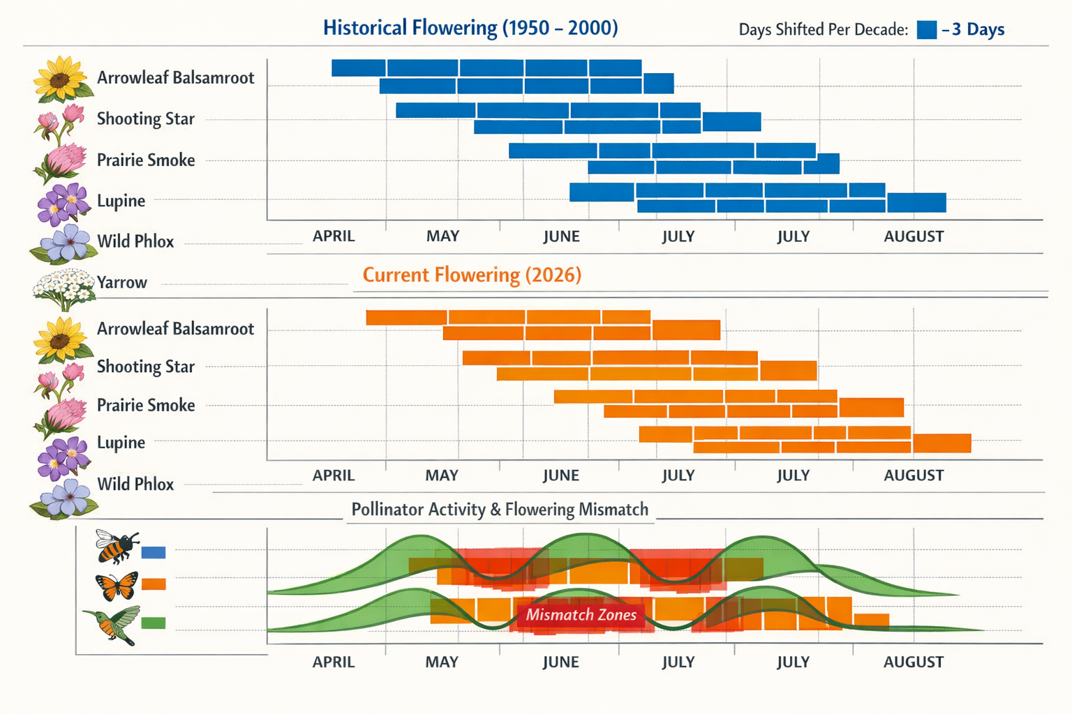() detailed infographic-style visualization displaying three-panel comparison calendar: top panel shows historical flowering
