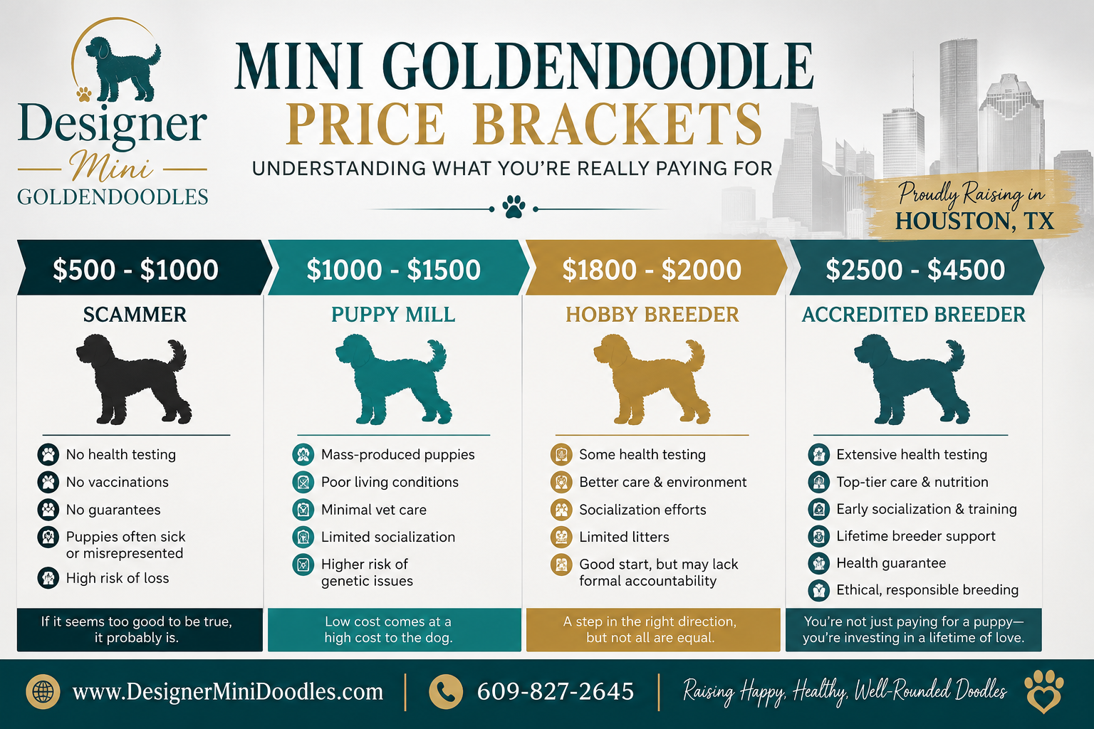 mini goldendoodle for sale Houston