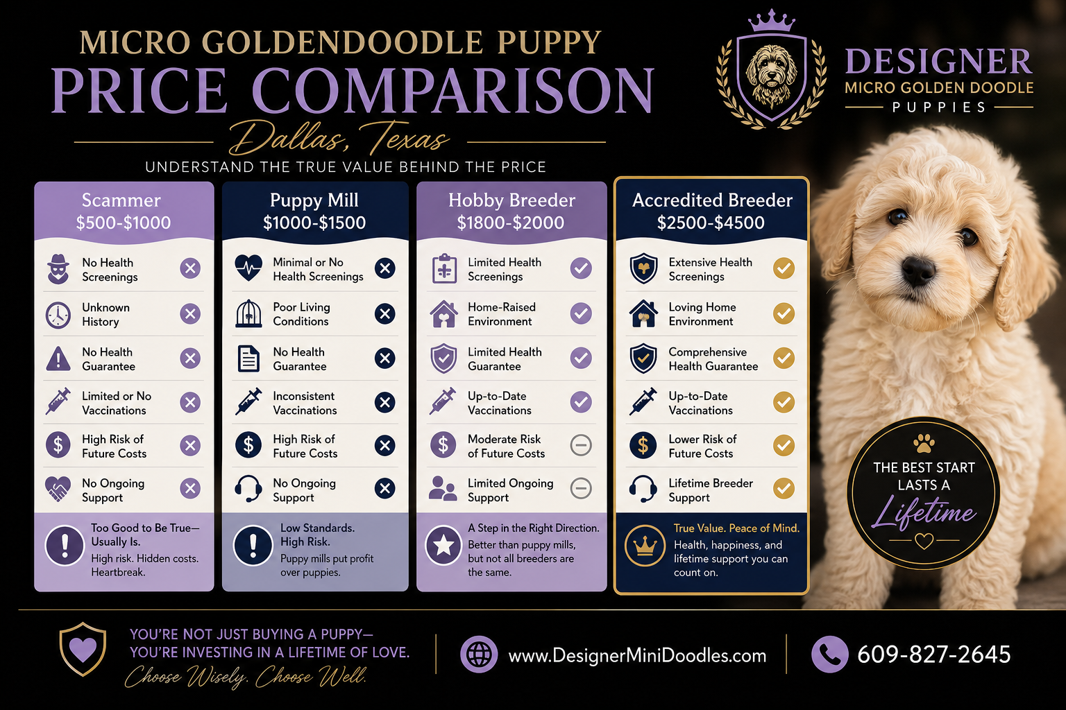 micro golden doodle puppies Dallas