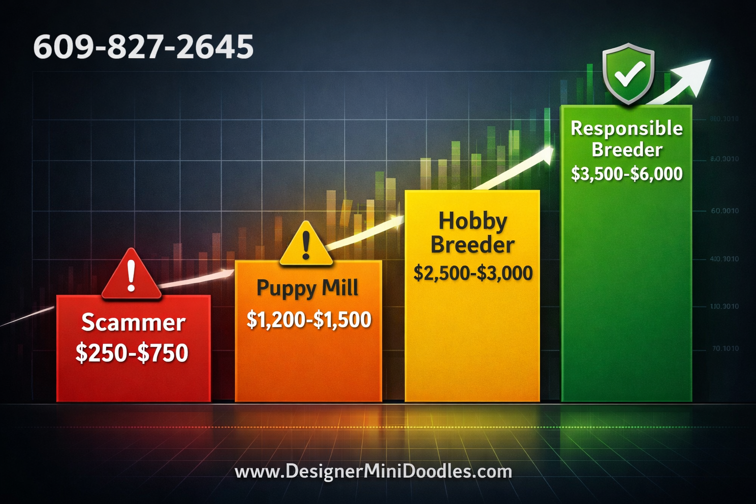 () creative price comparison bar graph infographic with four tiers displayed as ascending colored bars: red bar labeled