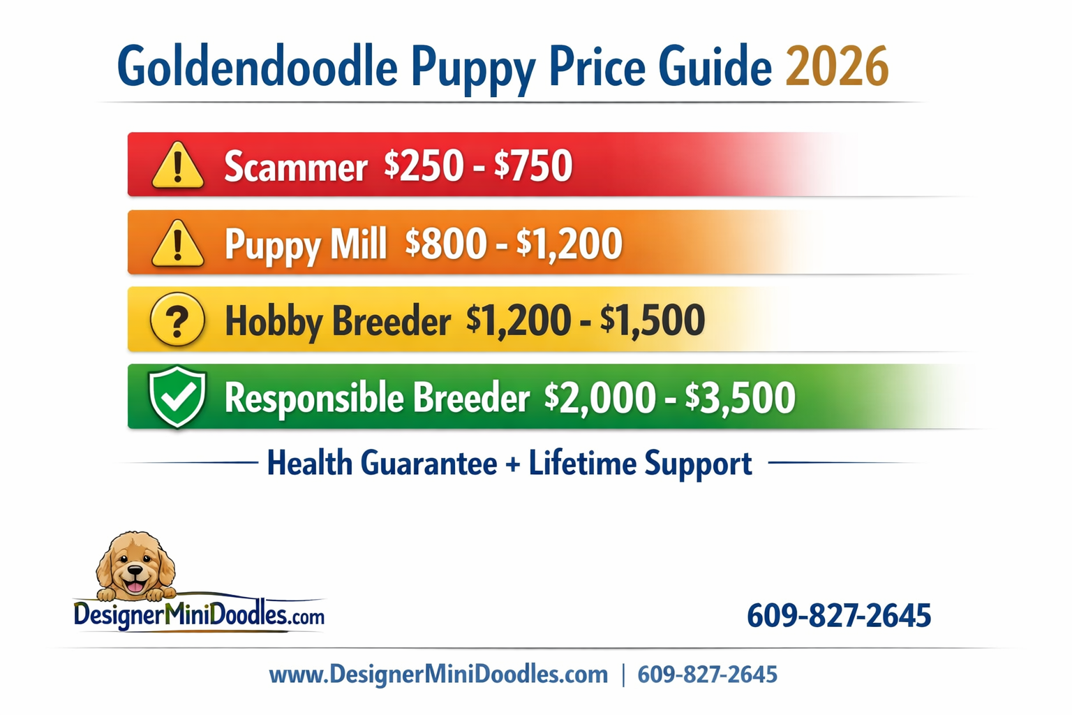 mini goldendoodle Saint Pete