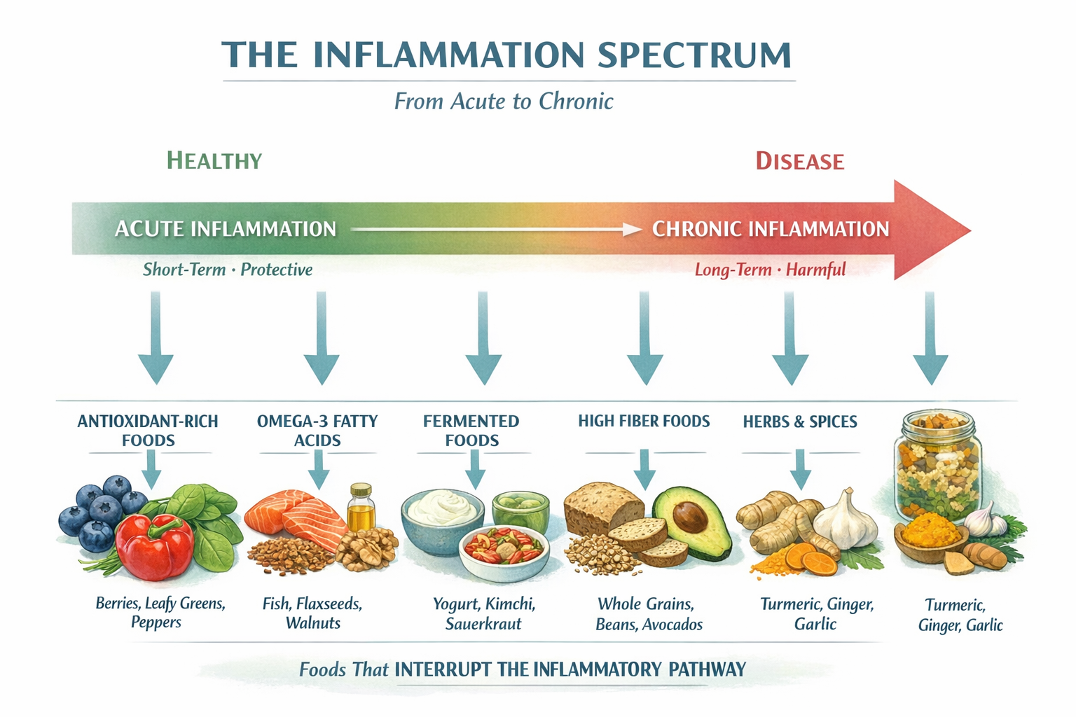 The inflammation spectrum from acute to chronic, with labeled arrows pointing to food groups that interrupt the inflammatory