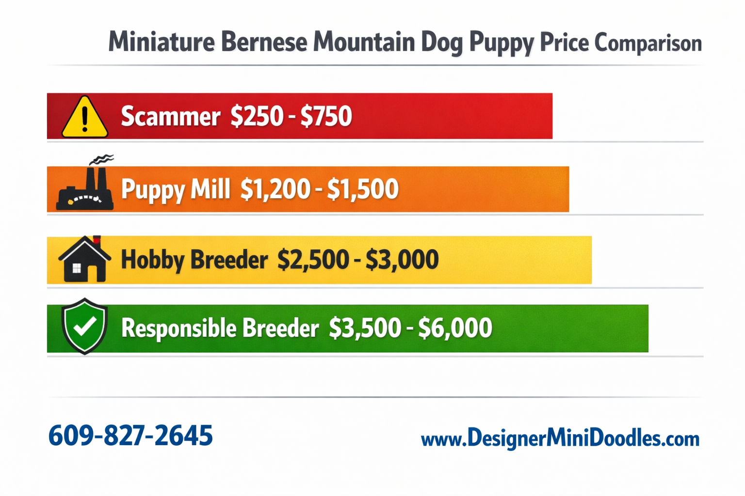 Detailed () infographic showing a horizontal price comparison bar chart for miniature Bernese mountain dog puppies. Four