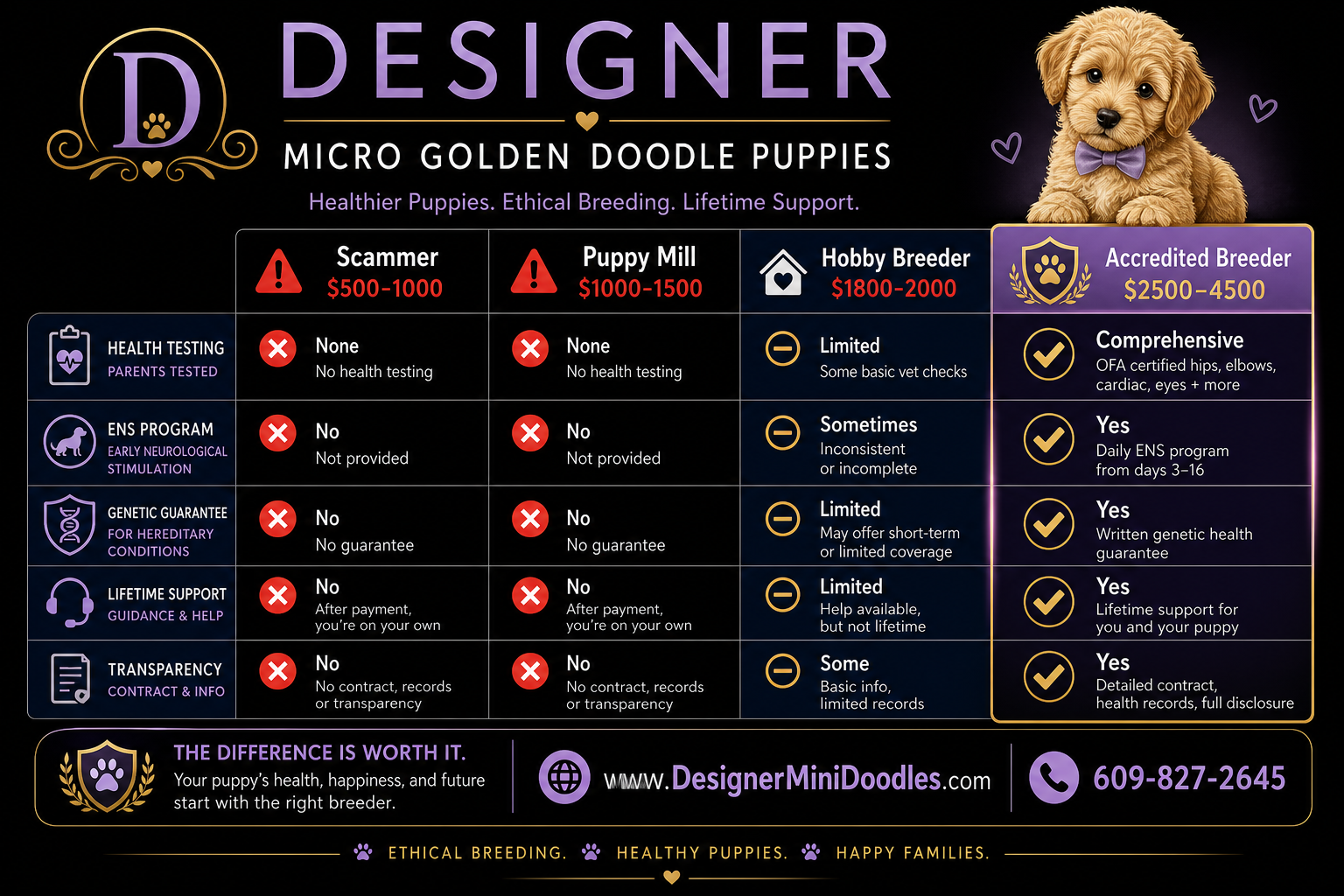 micro golden doodle puppies Orlando