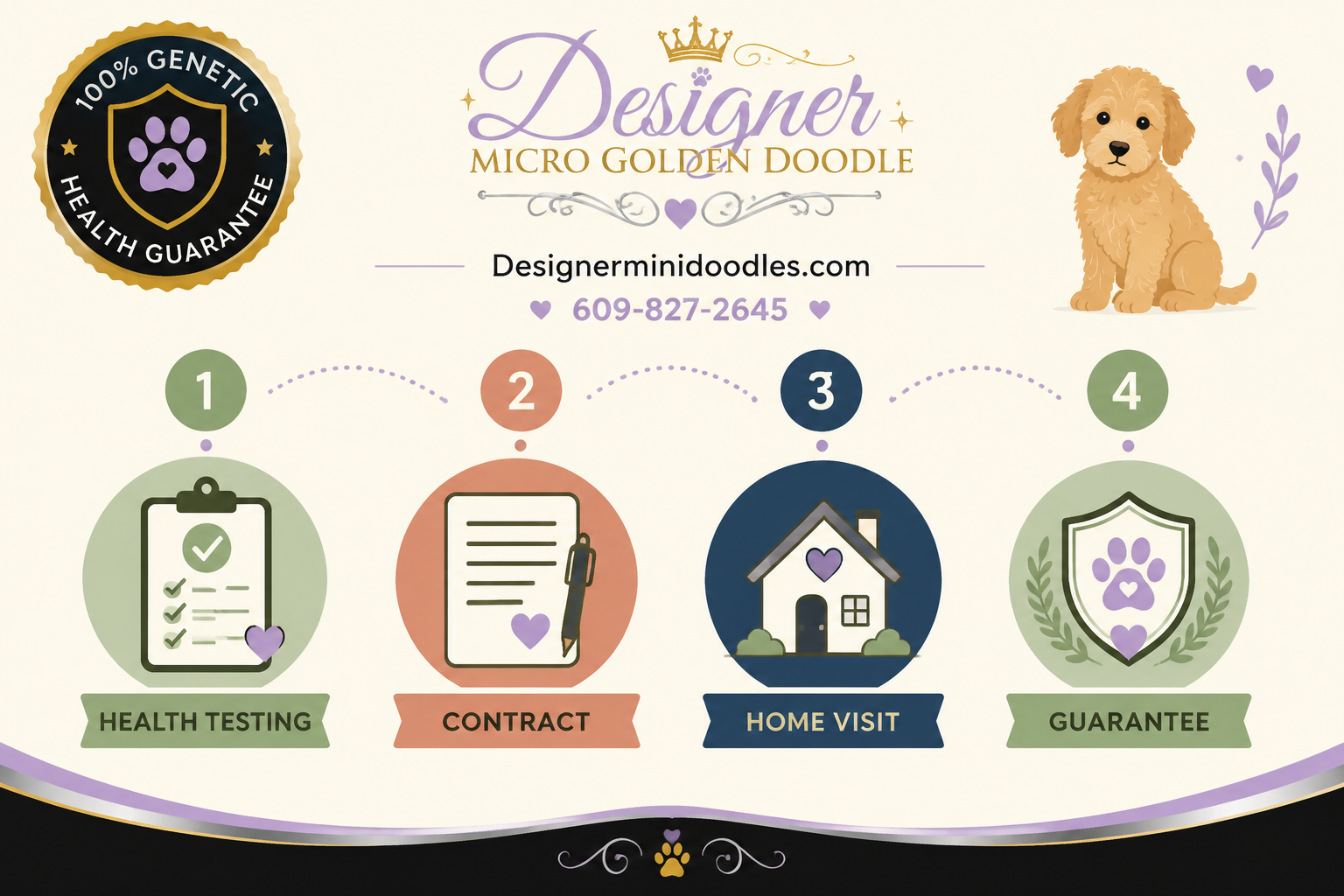 Micro Goldendoodle Breeders Near Me: Memphis, Nashville, Knoxville, Chattanooga