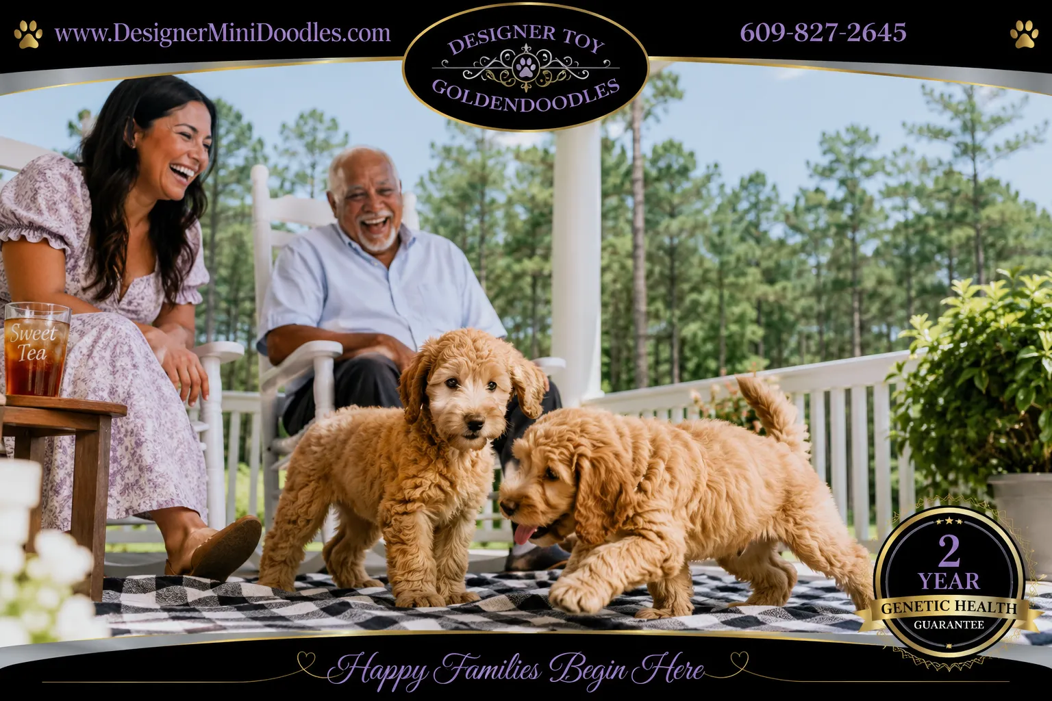 toy goldendoodle North Carolina