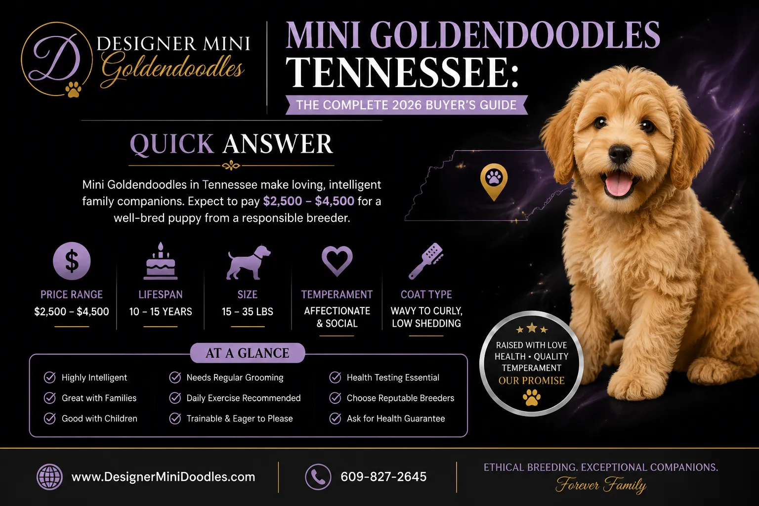 mini goldendoodles Tennessee