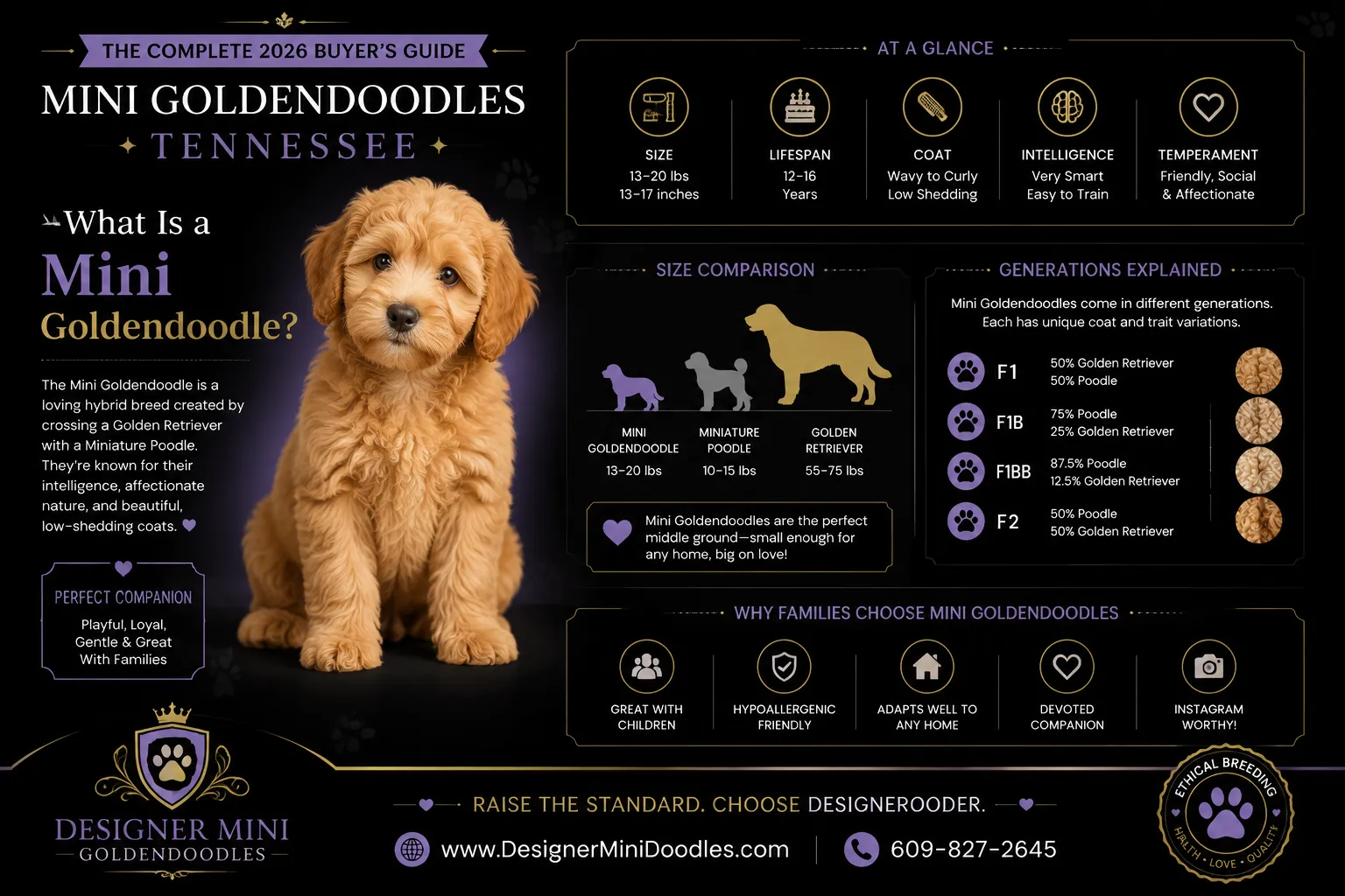 mini goldendoodles Tennessee
