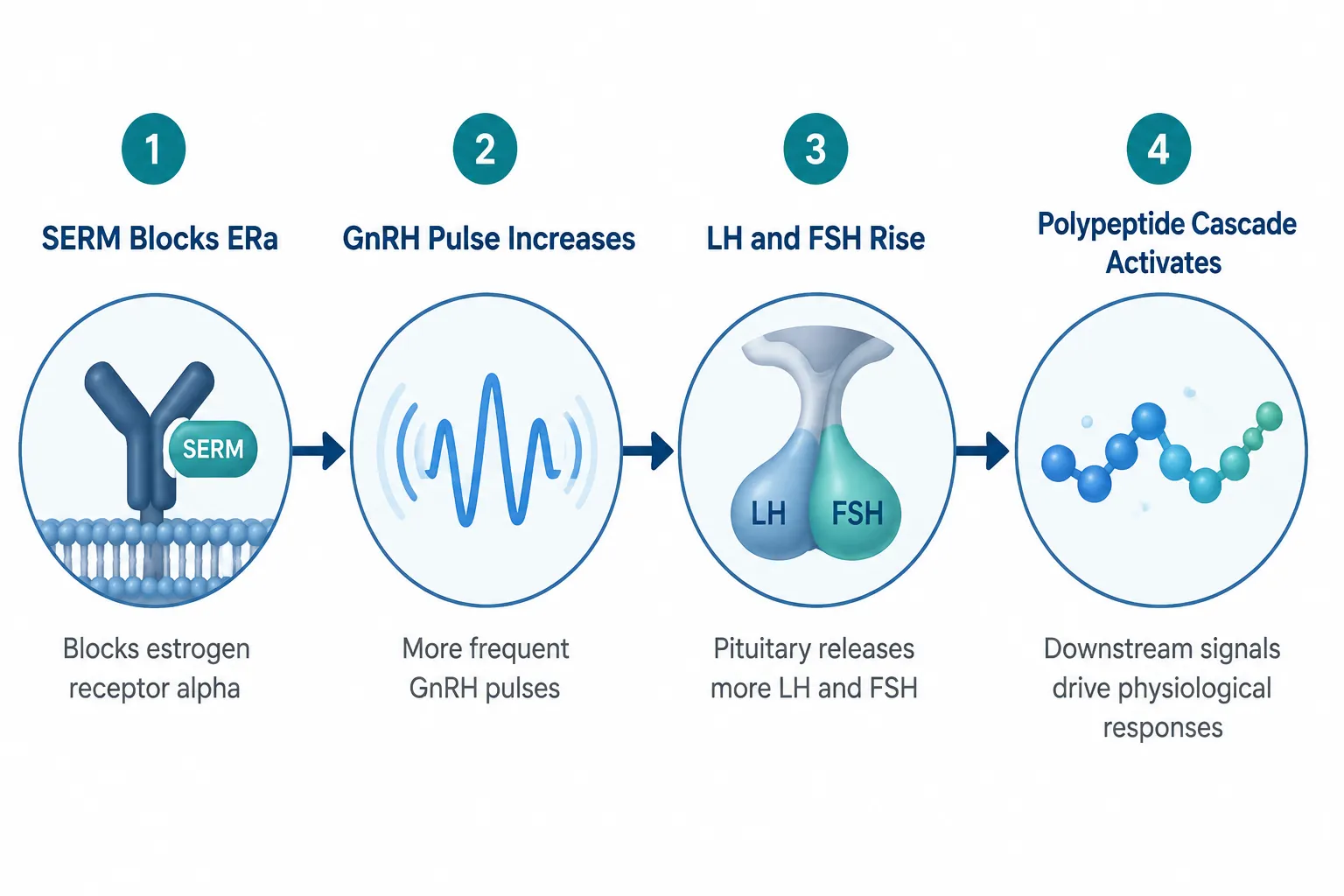 Research Considerations: Regulatory Status, Safety, and Peptide Co-Administration