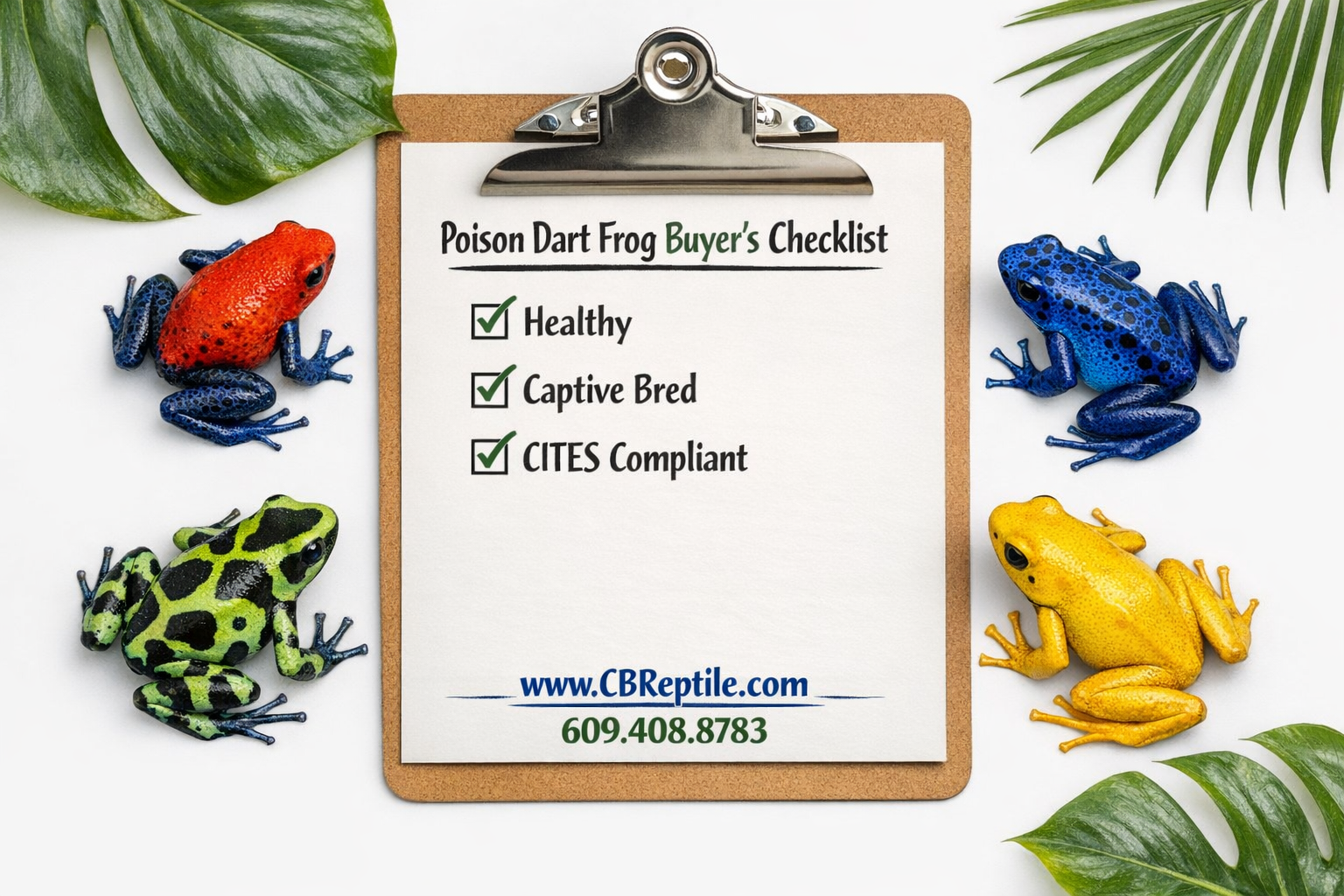 where to purchase a poison dart frog