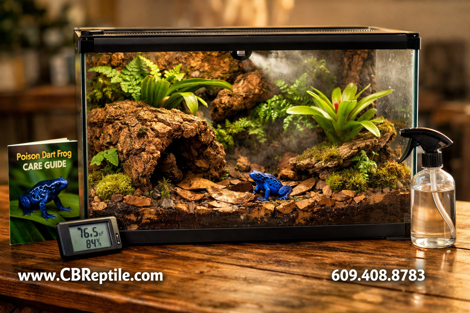 () photograph of a bioactive poison dart frog vivarium setup on a wooden table: glass terrarium with live plants, cork bark