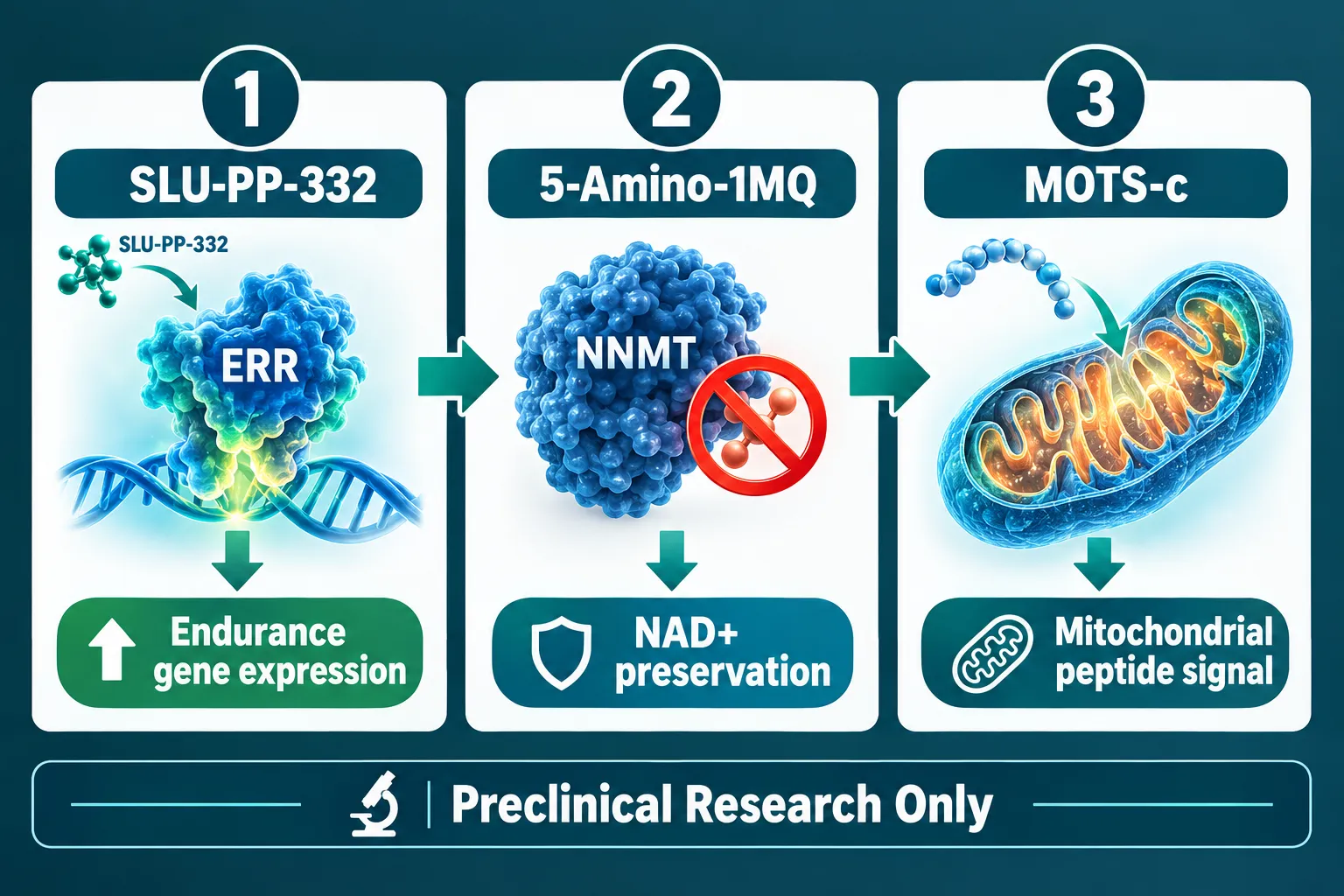 The Research Logic Behind Slupp332 With 5-Amino-1MQ: How Researchers Frame This Metabolic Stack