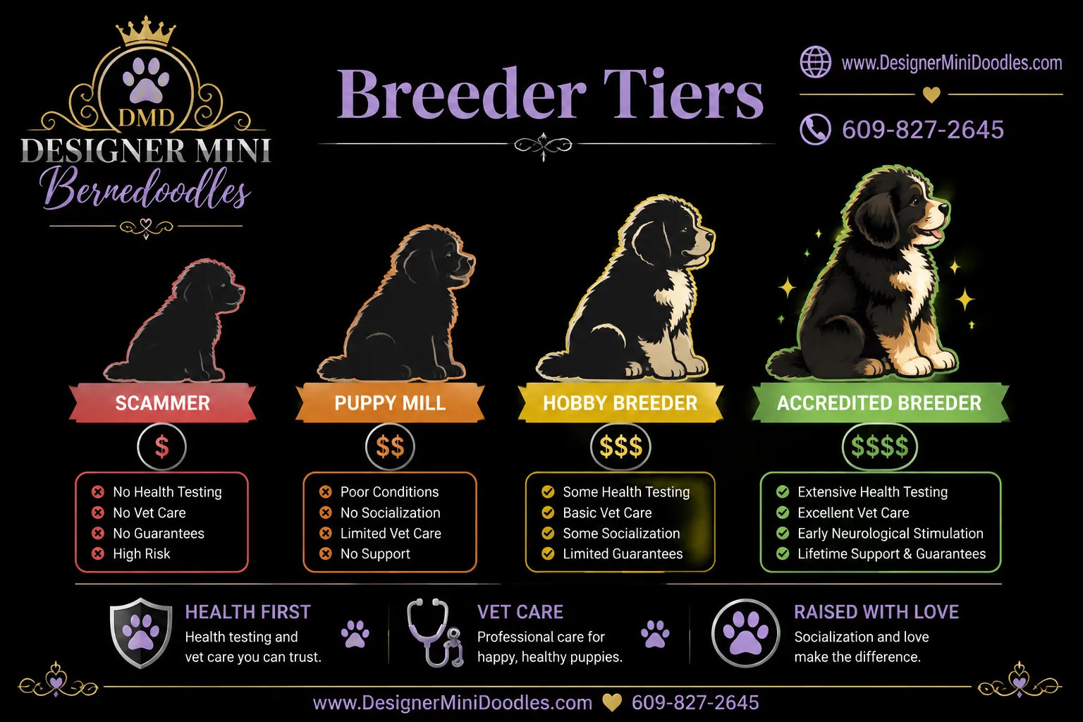 Mini bernedoodle prices