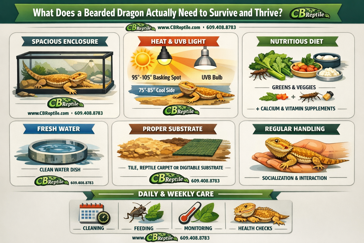 Professional infographic for article "Bearded Dragon Care Sheet: The Complete Guide for New Owners in 2026", section: "What