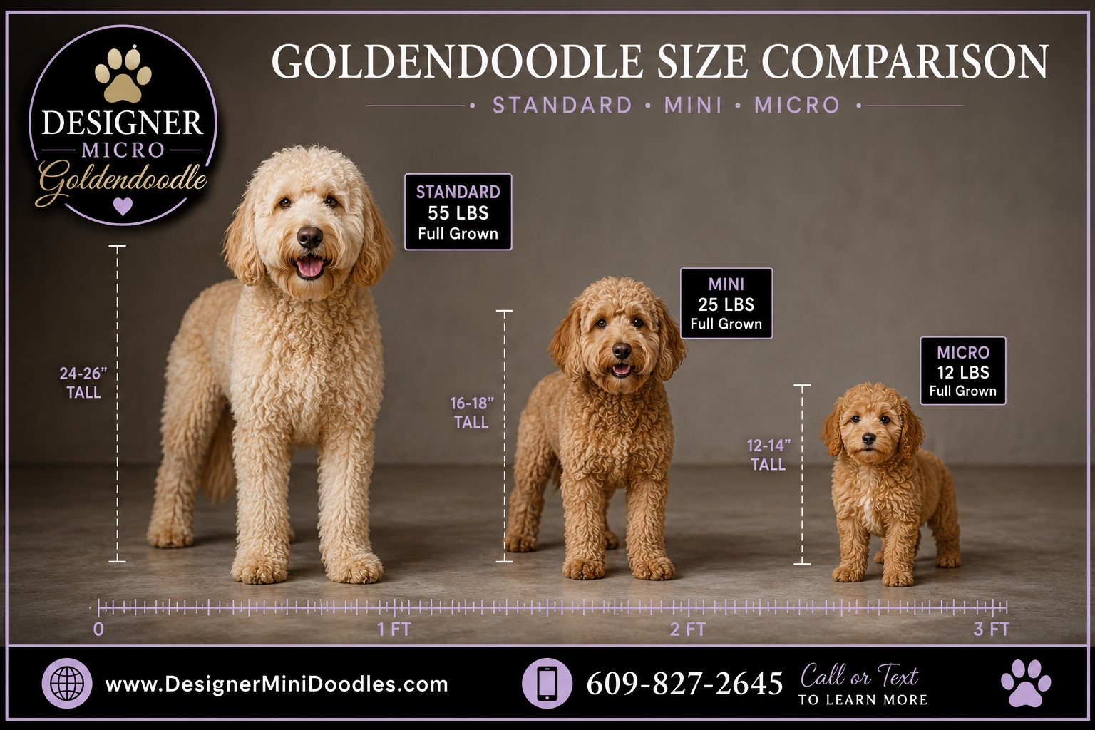 micro doodle breeders