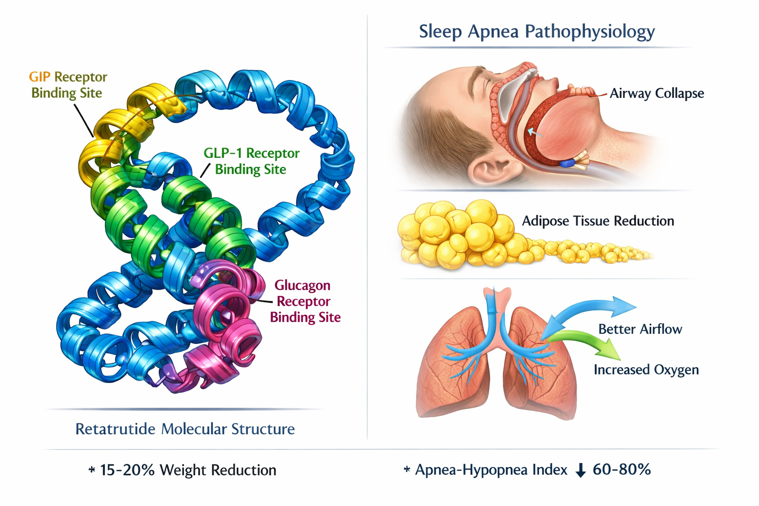Retatrutide Sleep Apnea Study