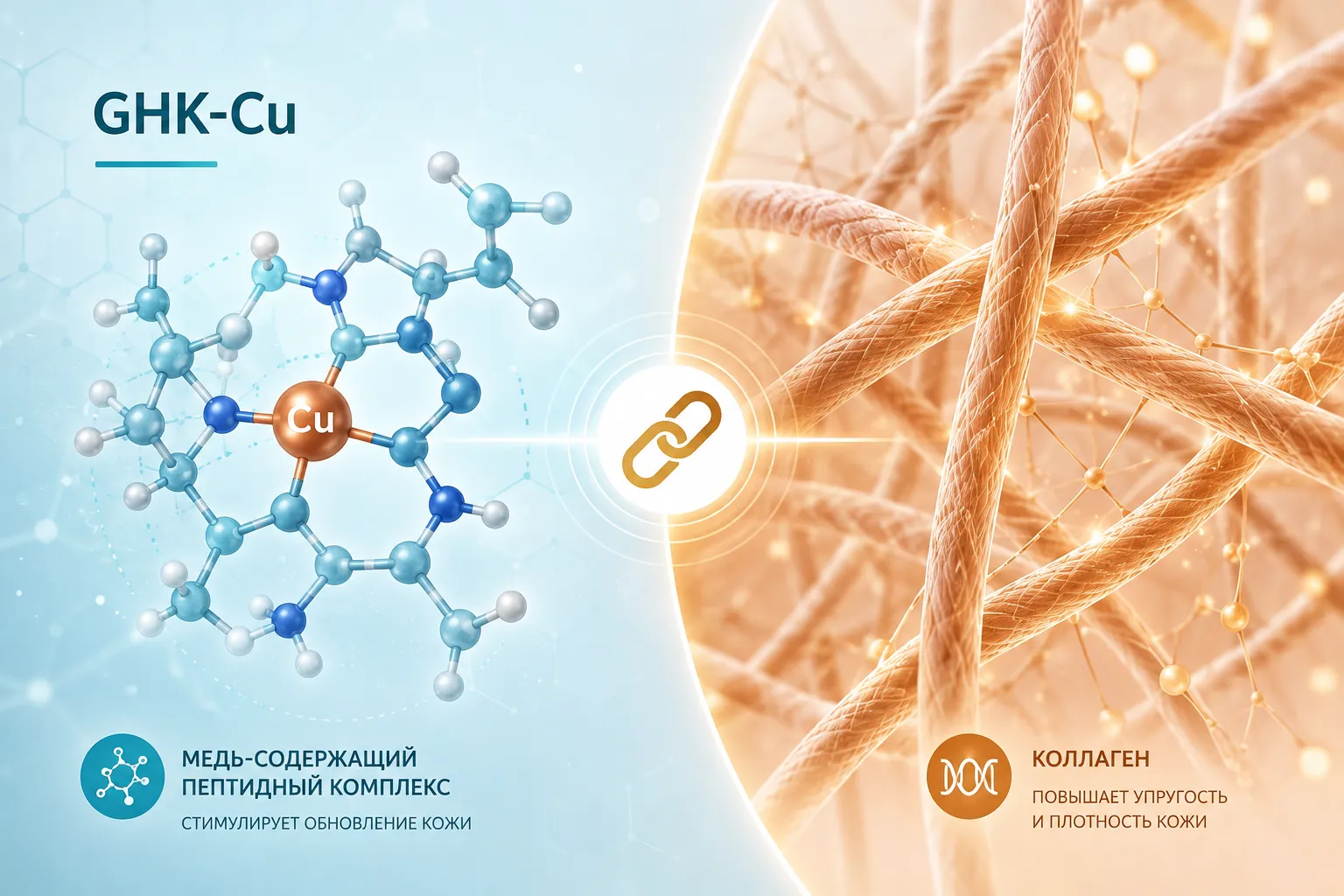 Bright editorial infographic-style landscape (): a clean split-screen illustration showing a molecular diagram of GHK-Cu