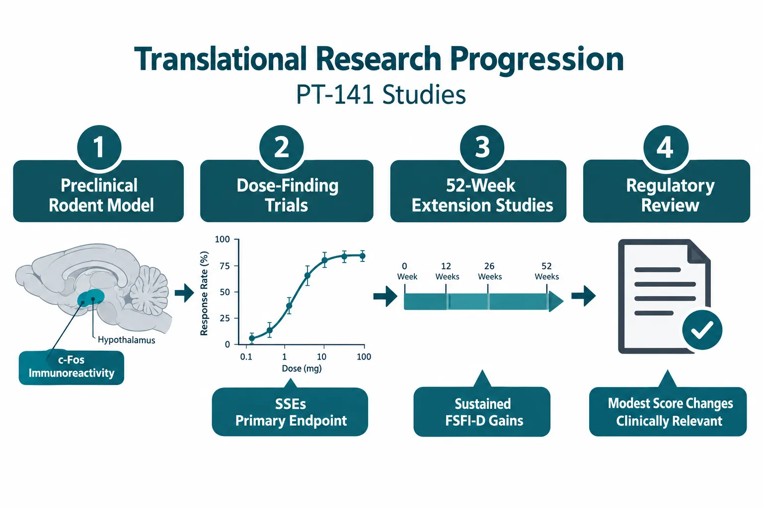 Long-Term Studies, CNS Markers, and Translational Limitations