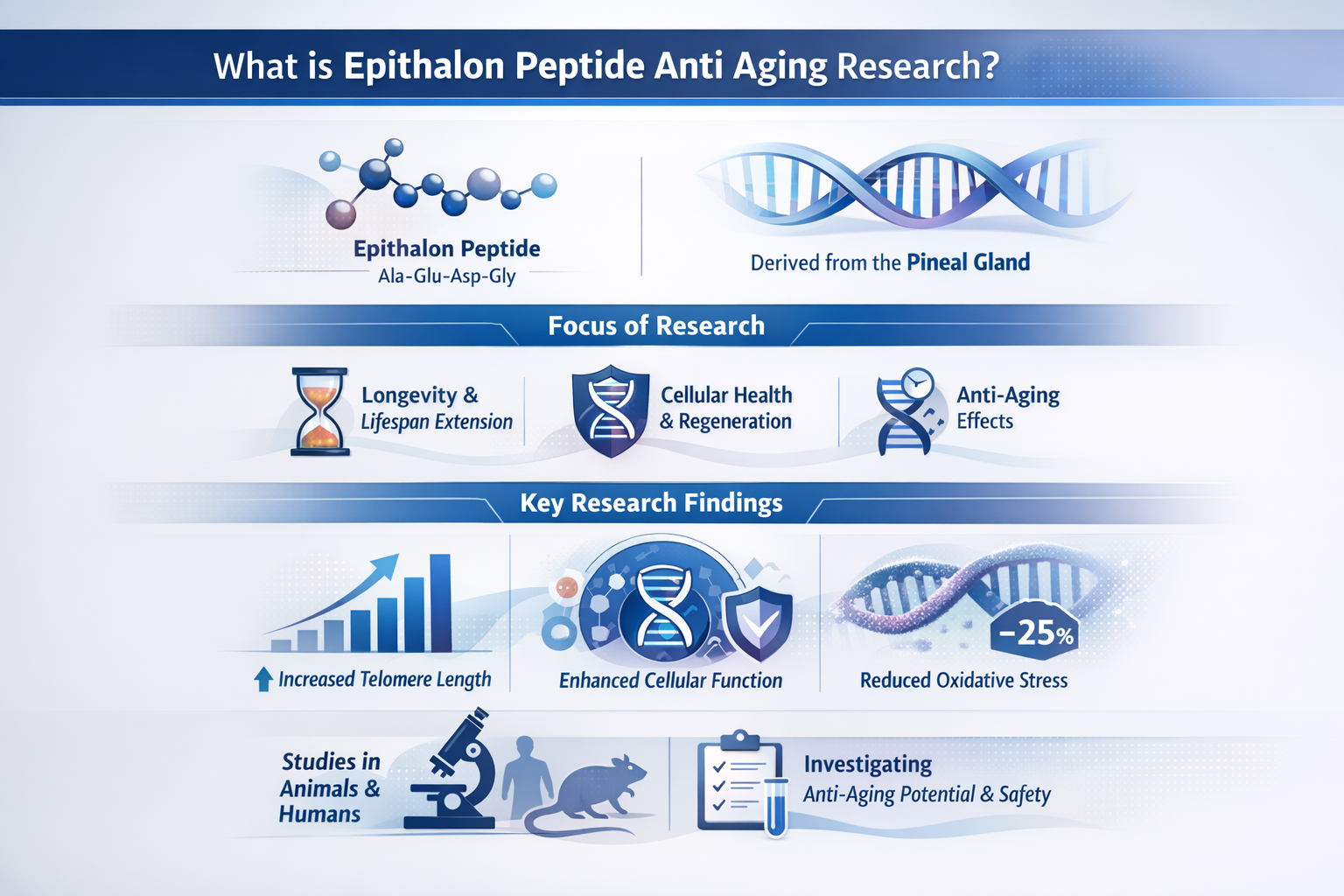 Professional infographic for article "Epithalon Peptide Anti Aging: The Complete 2026 Research Guide", section: "What is Epithalon Peptide A