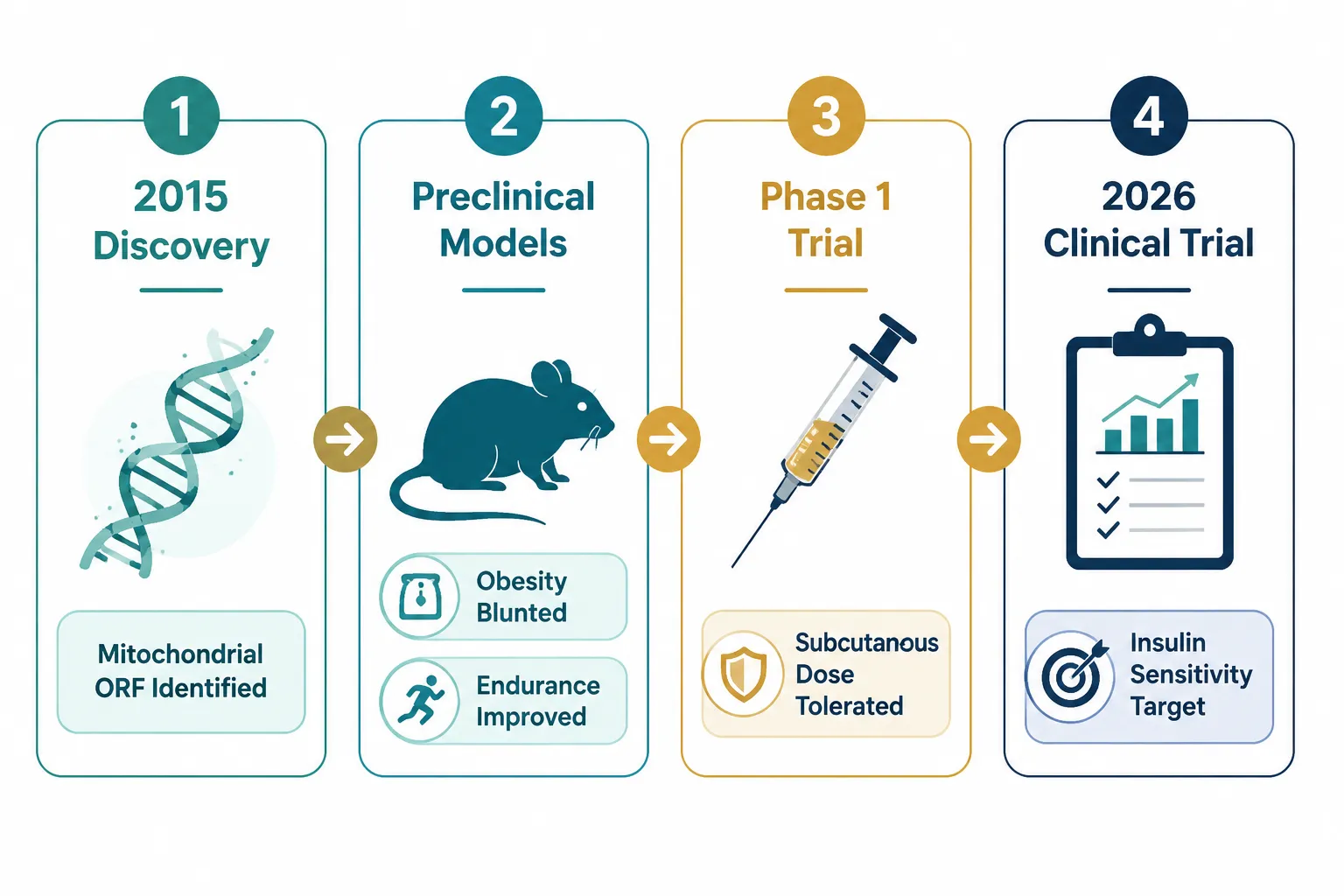 Research Applications and Current Status of Mots-c Peptide Studies