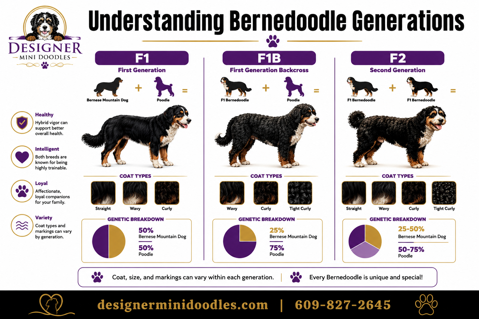 Are Mini Bernedoodles Good With Kids and Other Pets?