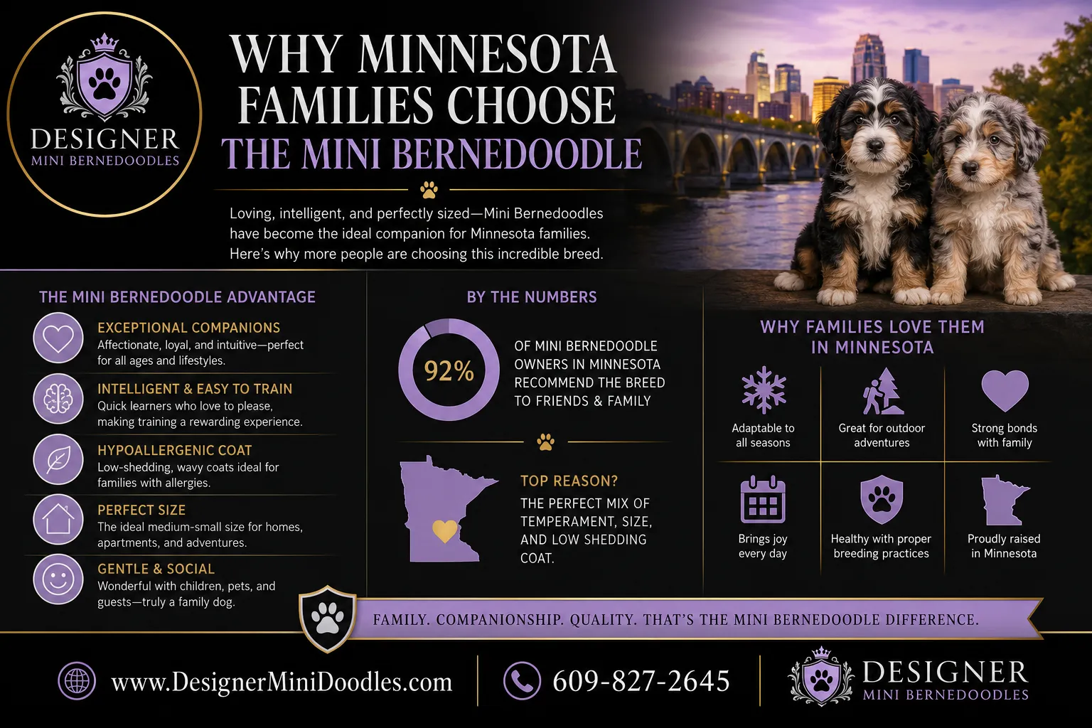 mini bernedoodle breeders Minnesota