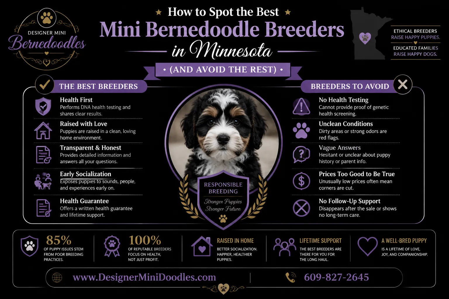 mini bernedoodle breeders Minnesota