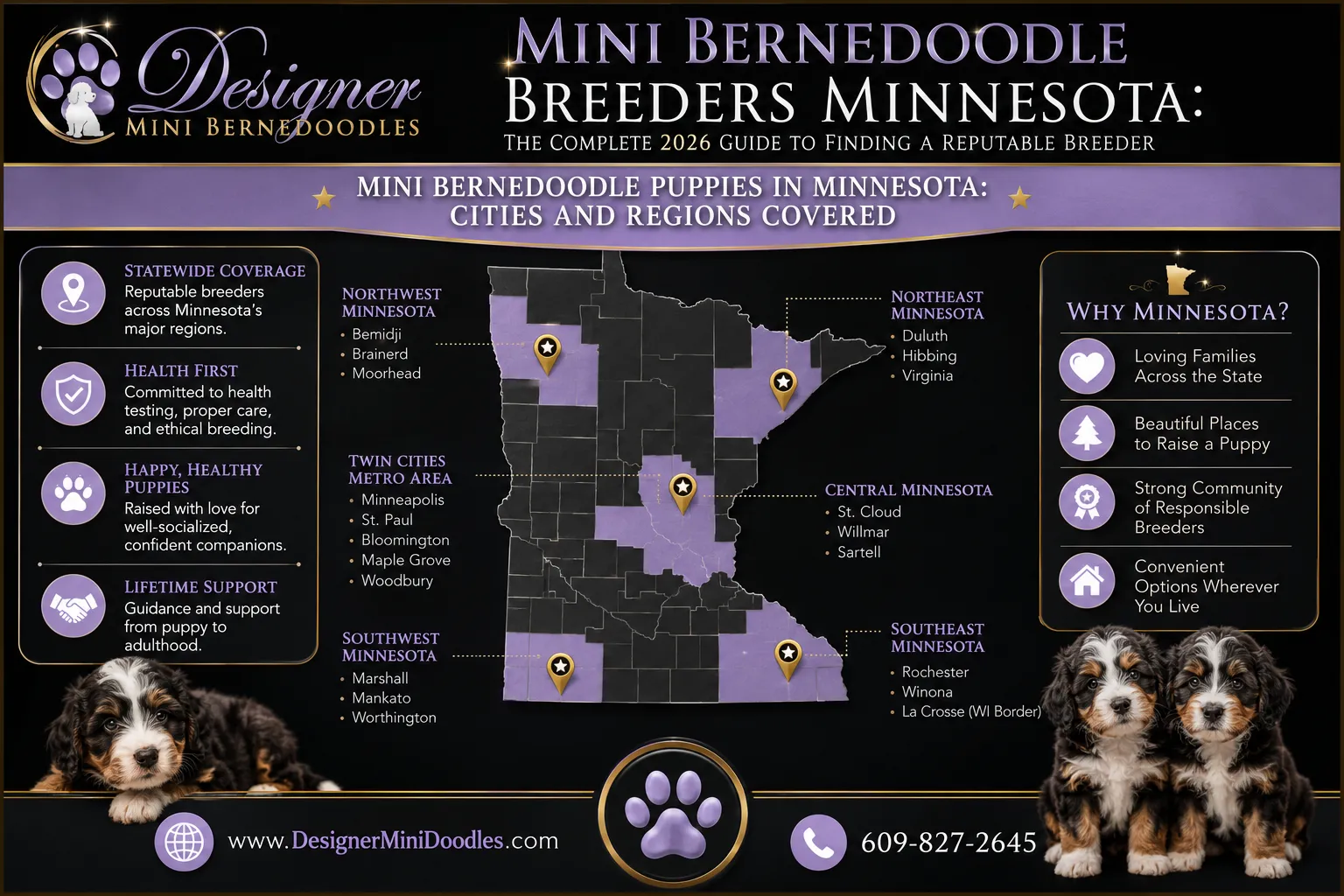 mini bernedoodle breeders Minnesota