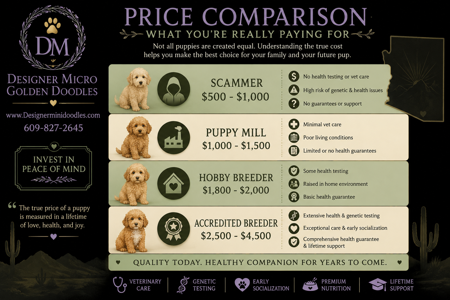 Available micro goldendoodle puppies