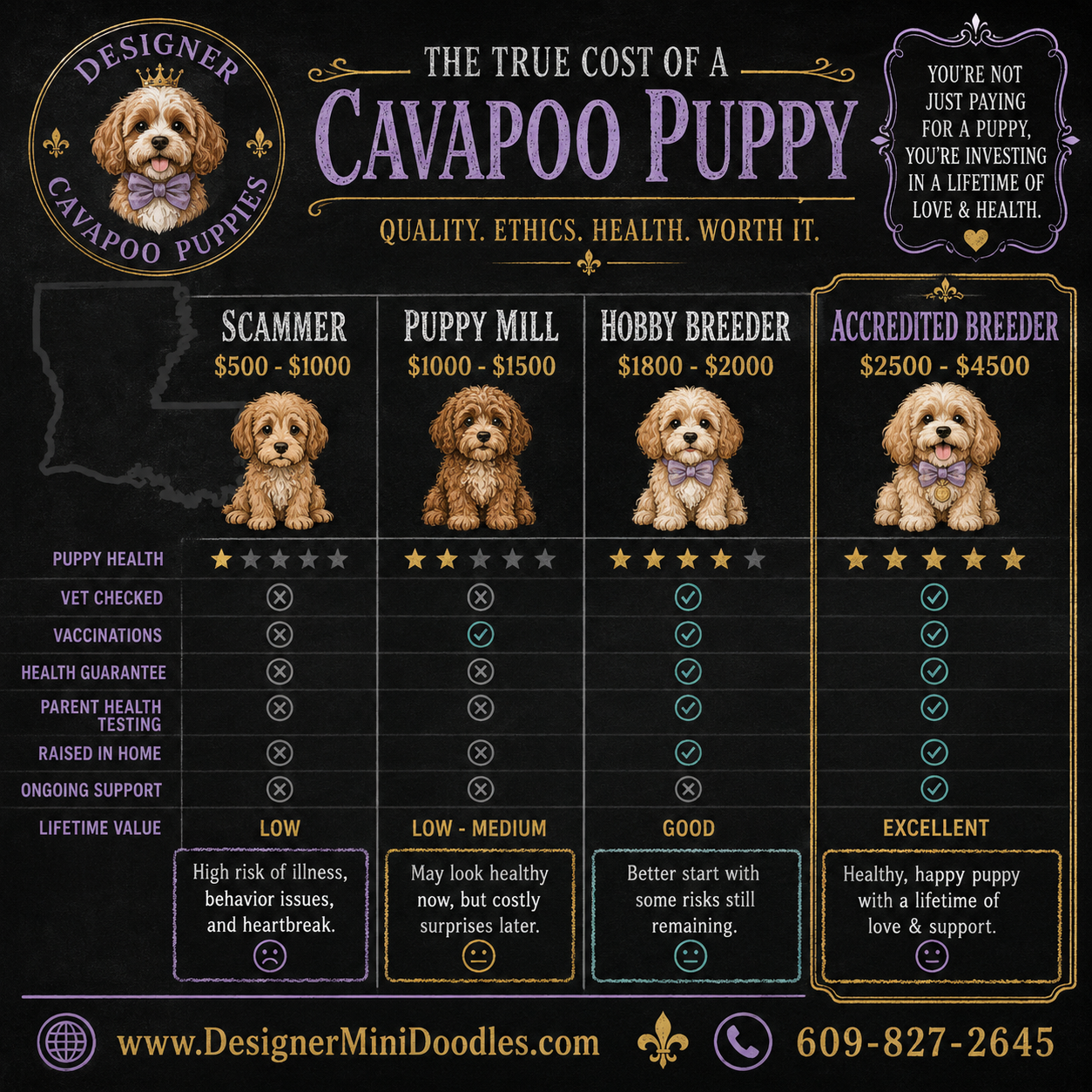 cavapoo for sale Louisiana