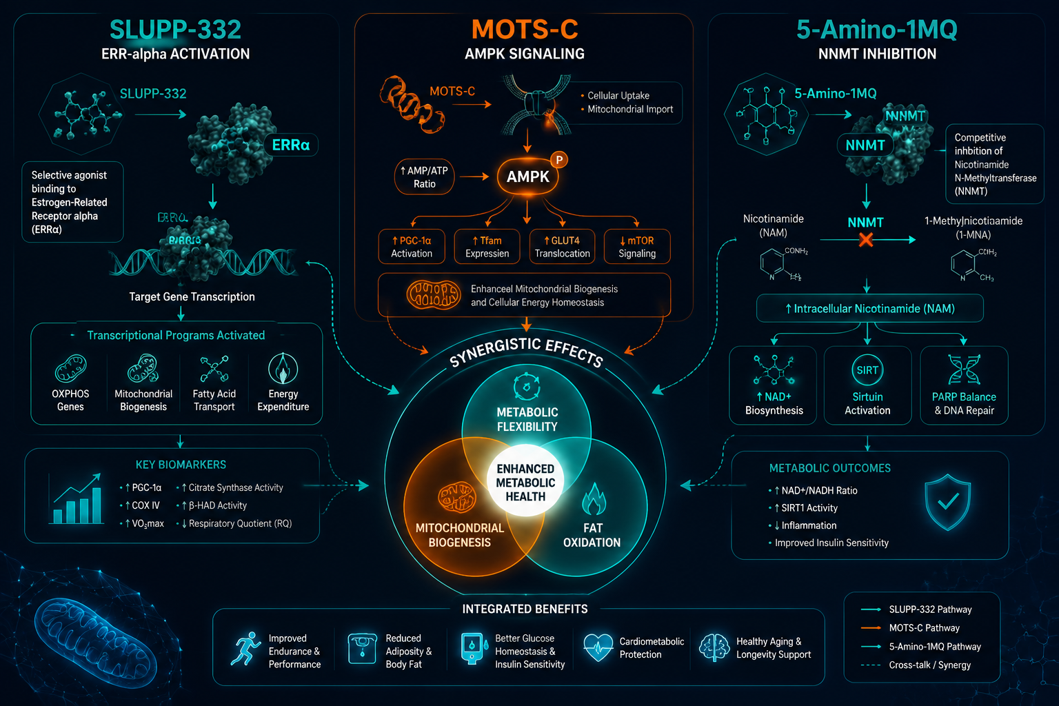Detailed () scientific infographic illustration showing three interconnected molecular pathway diagrams labeled SLUPP-332,