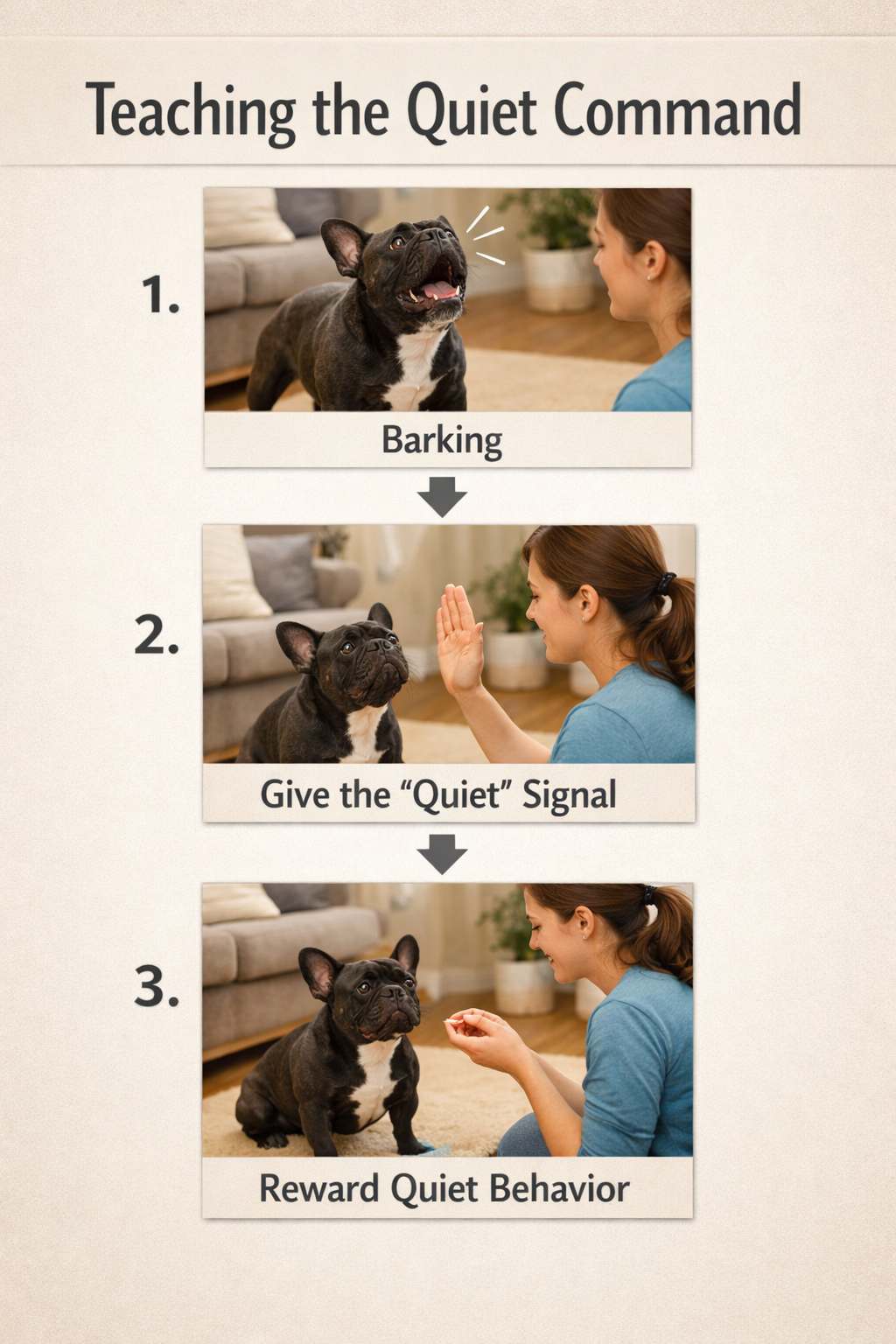 Portrait format (1024x1536) step-by-step visual guide showing 'Quiet Command' training sequence with French Bulldog. Three-panel layout: dog