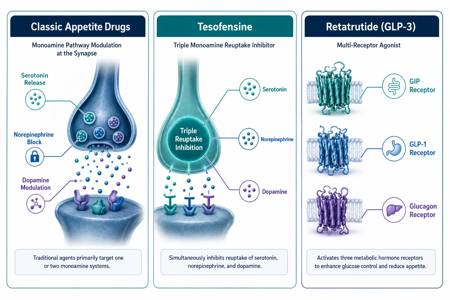 Mechanistic Foundations: Three Distinct Pathways