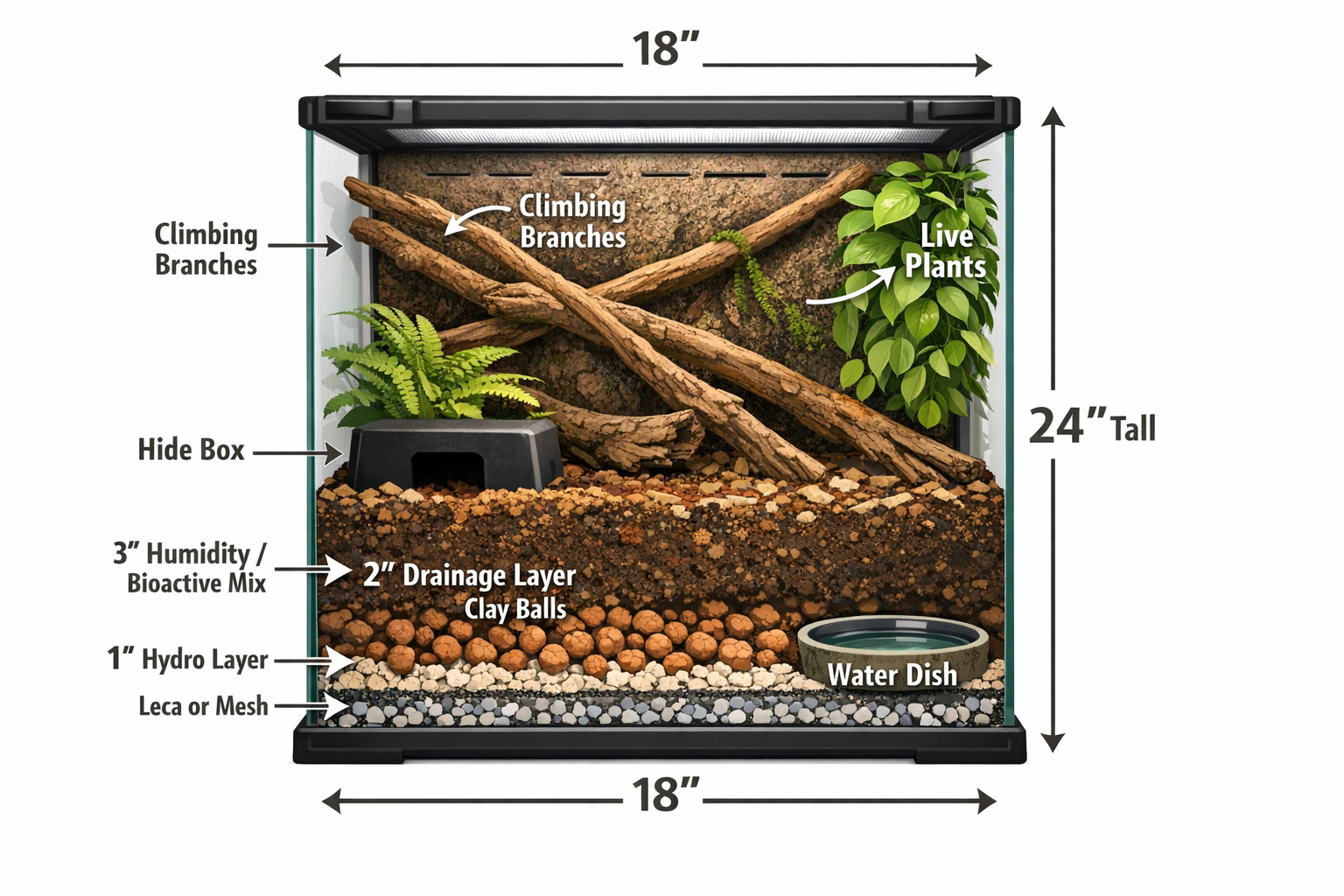 Detailed landscape format (1536x1024) image showing cross-section view of properly sized crested gecko terrarium with measurements labeled, 