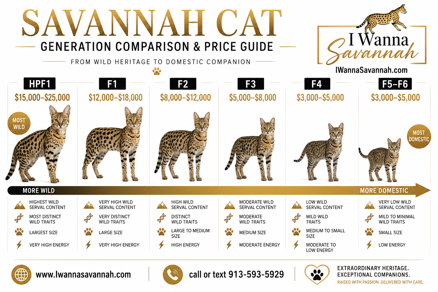 Why Melissa Morris and I Wanna Savannah Stand Above Other Breeders