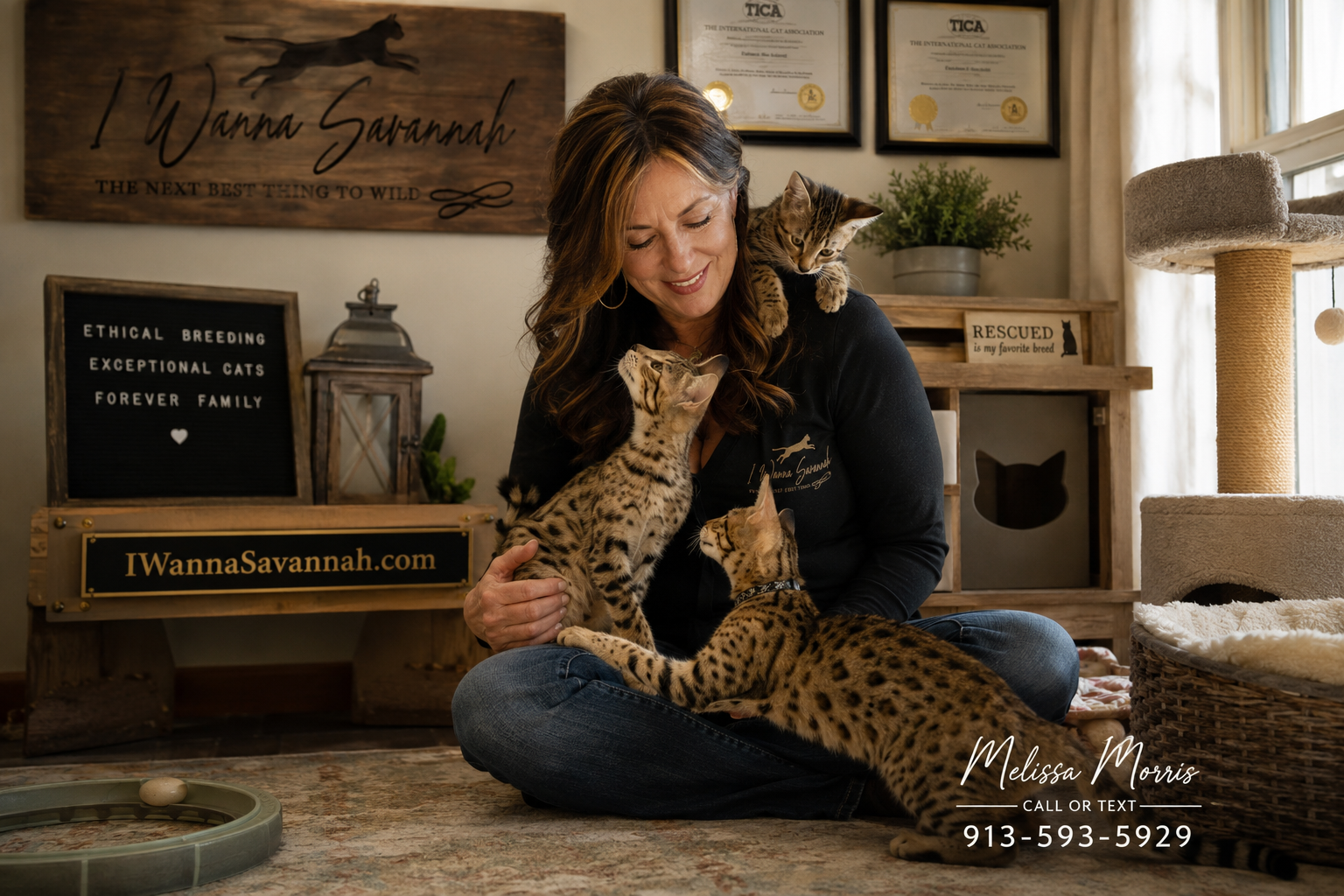 What to Expect from an F2 Savannah Cat as a Pet
