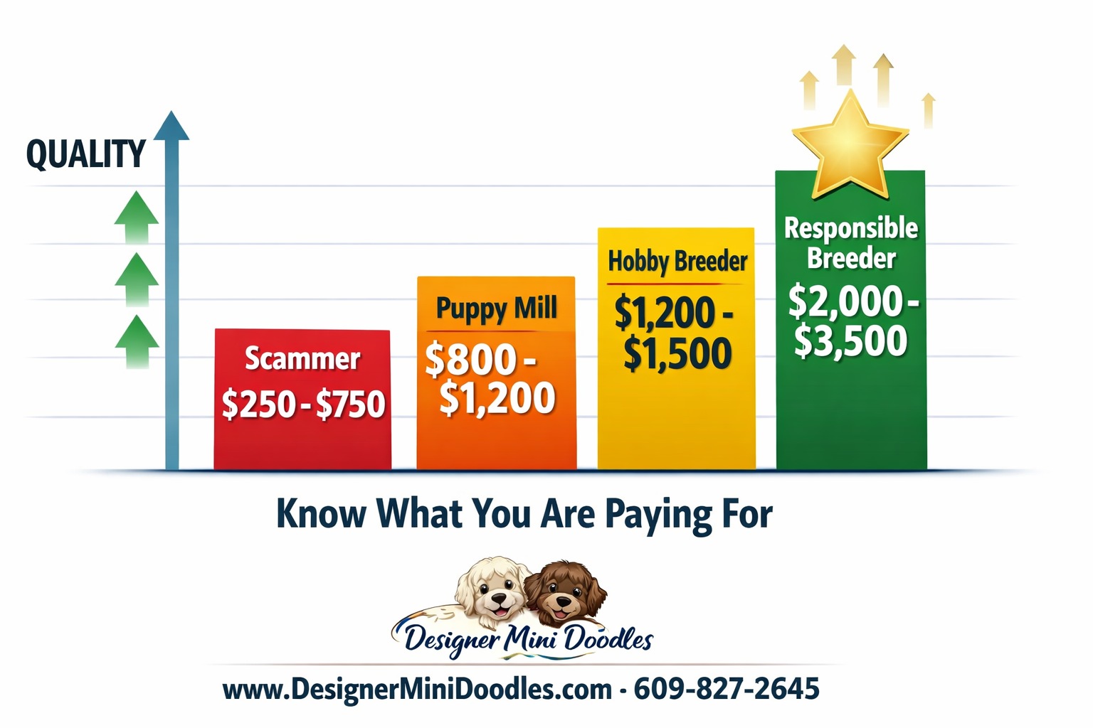 () showing a professional price comparison bar chart graphic with four bars labeled: 'Scammer $250-$750' in red, 'Puppy Mill