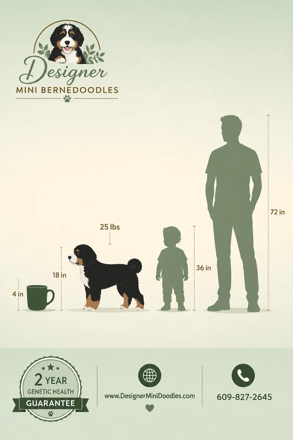 mini bernedoodles Kansas City