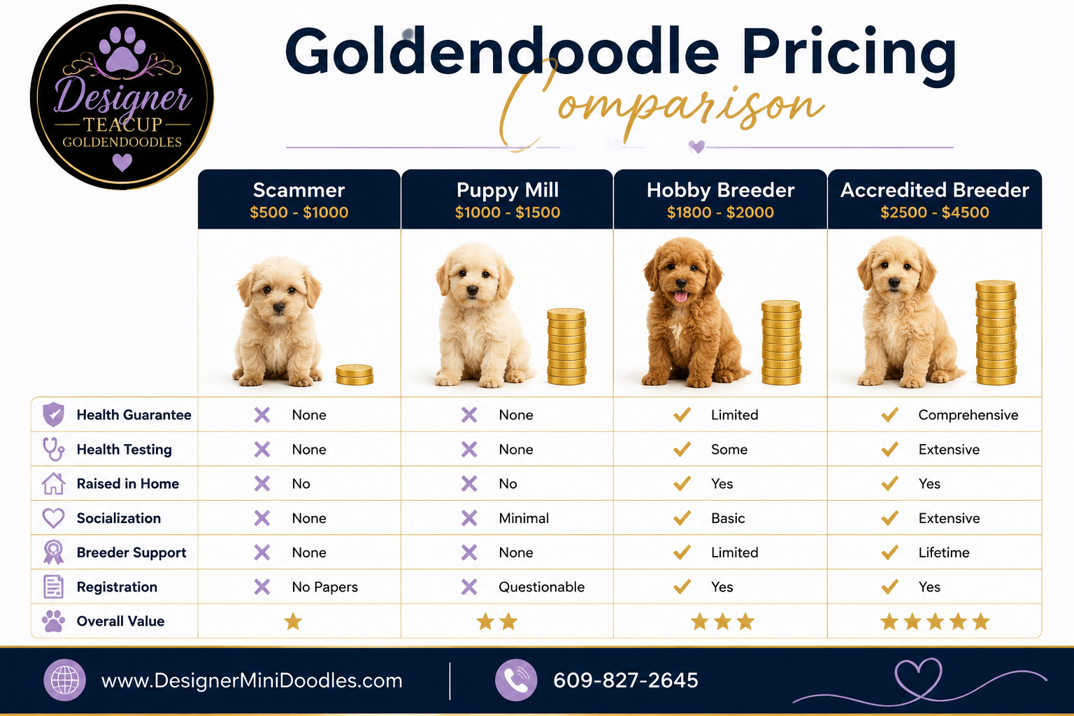 teacup goldendoodle puppies Houston