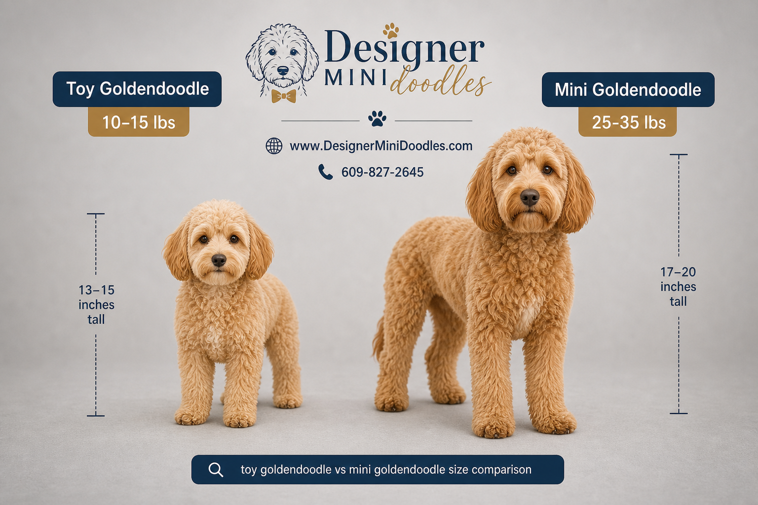 toy goldendoodle puppies Tampa