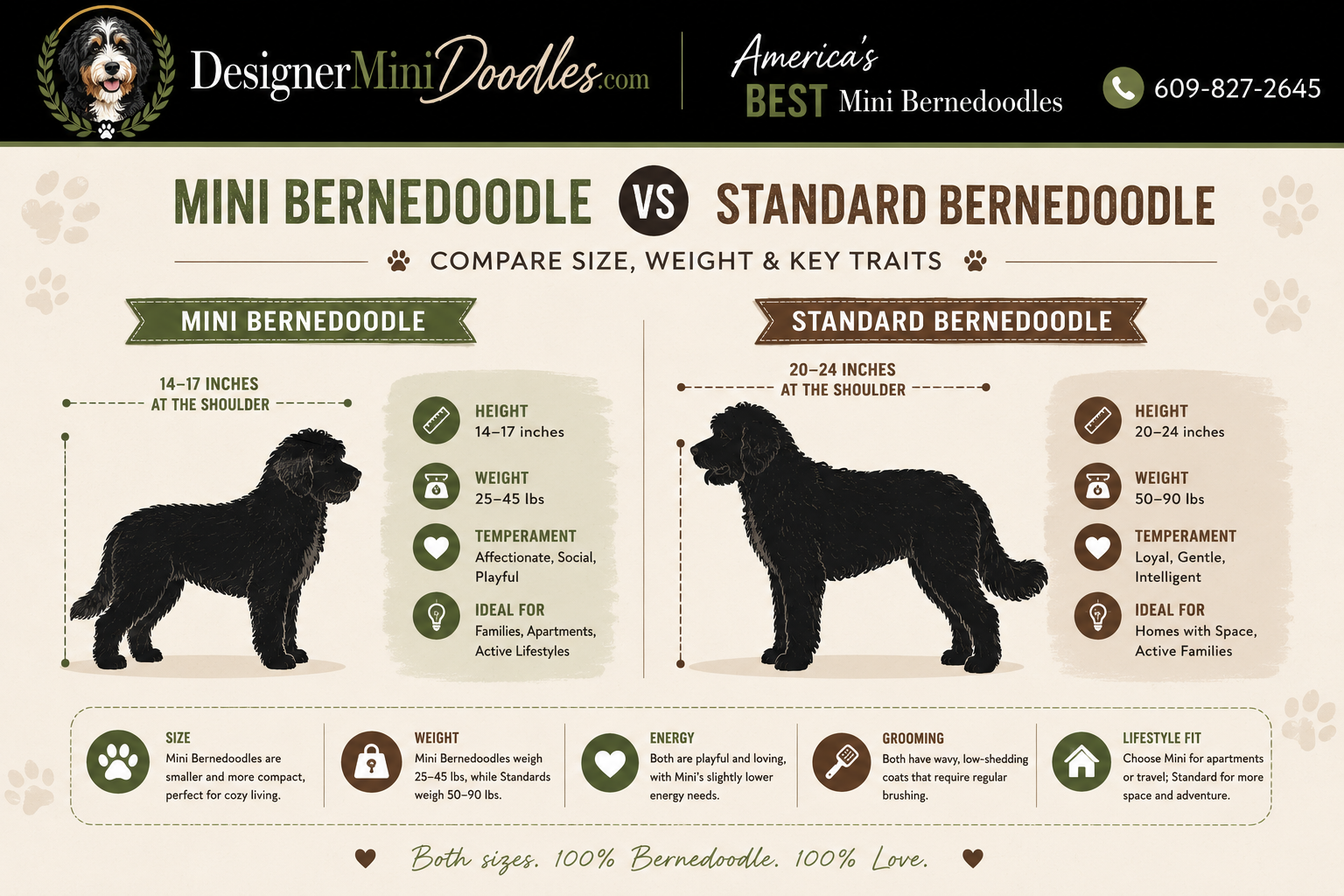 best mini bernedoodle breeders