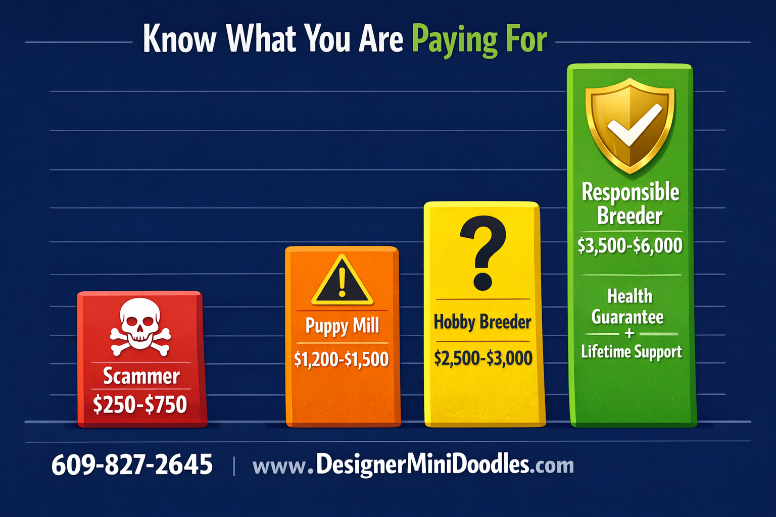 mini bernedoodle prices