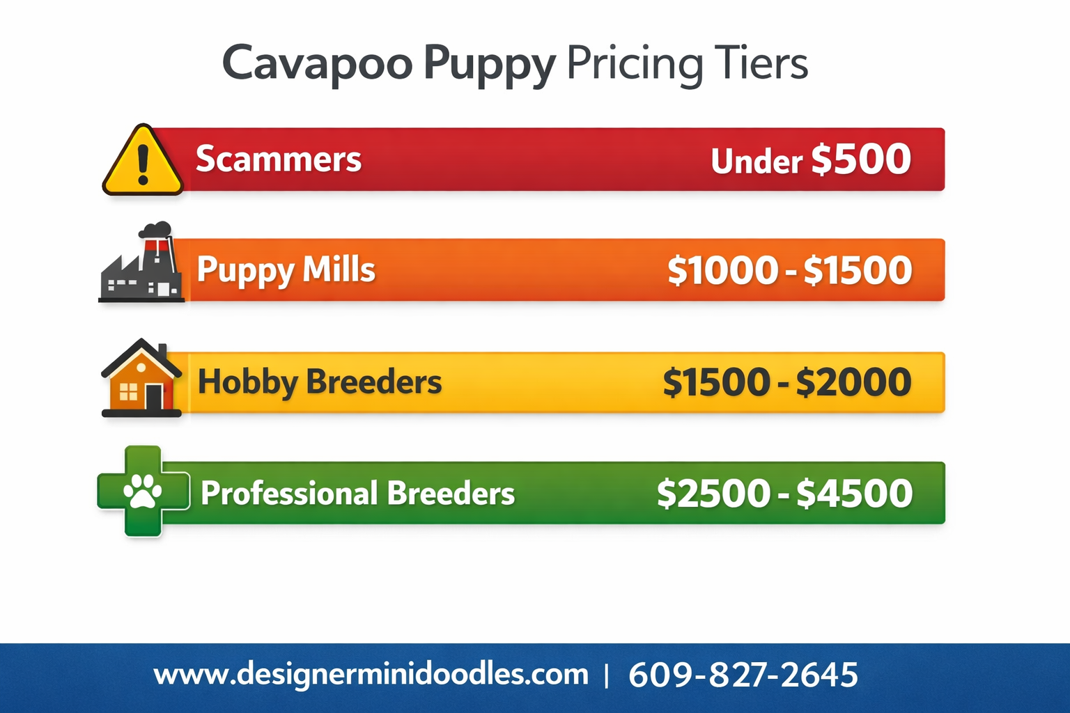cavapoo price