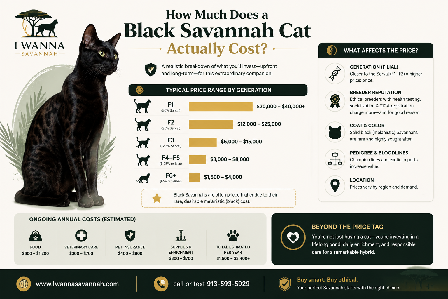 What to Look for in a Reputable Black Savannah Cat Breeder