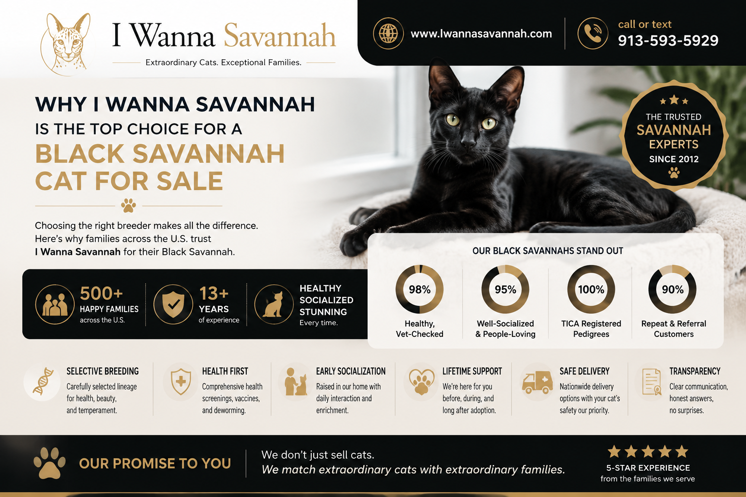 Common Mistakes Buyers Make When Searching for a Black Savannah Cat for Sale